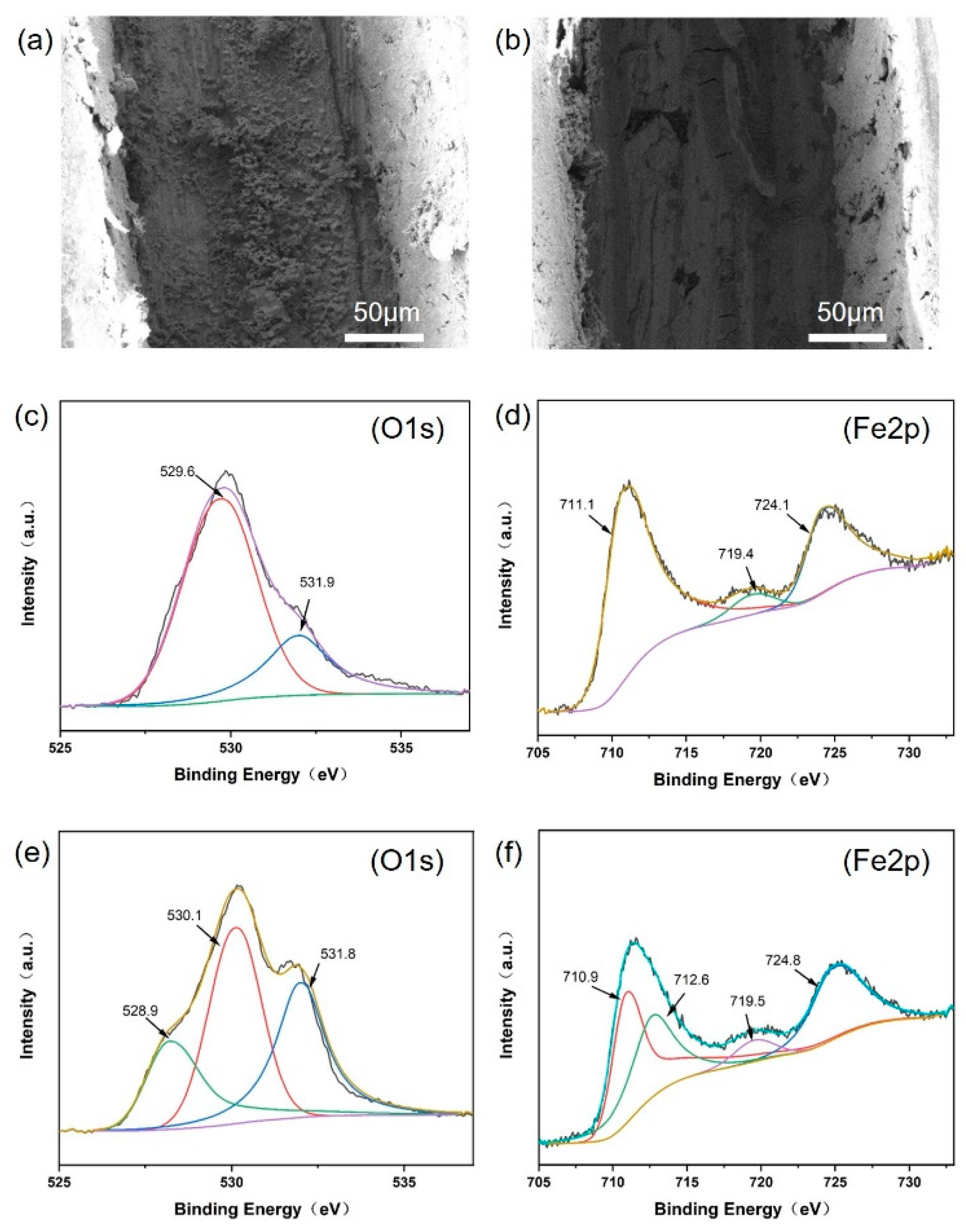 Nanomaterials 14 00076 g009