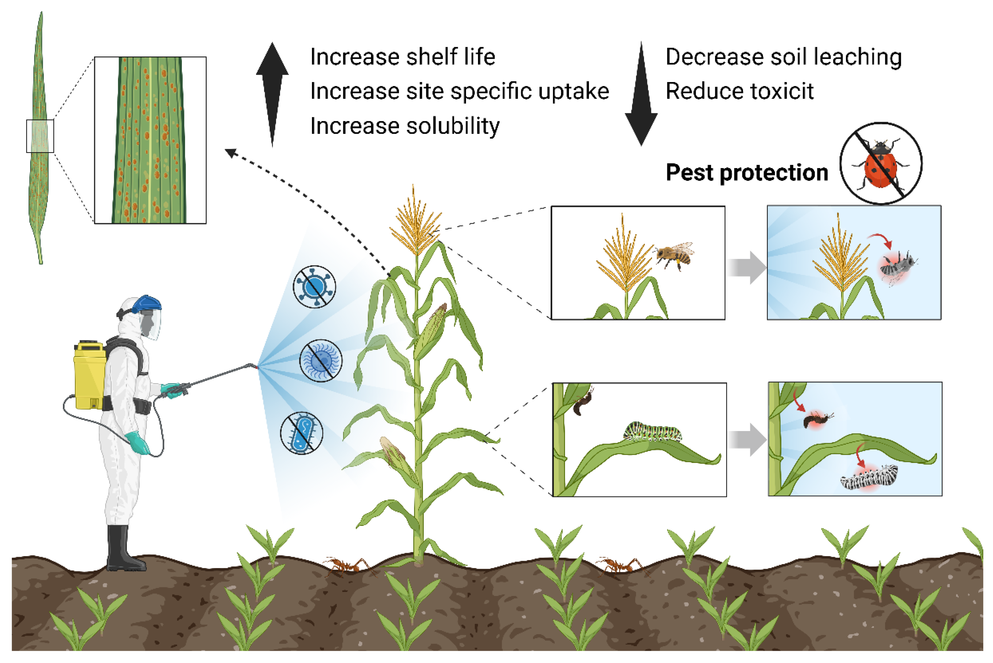 Nanomaterials 14 00090 g006