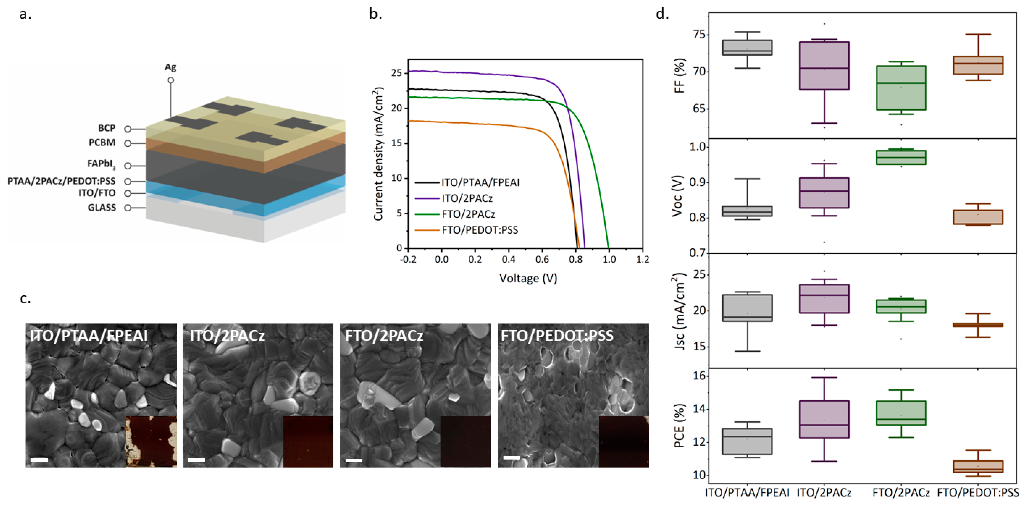 Nanomaterials 14 00107 g003