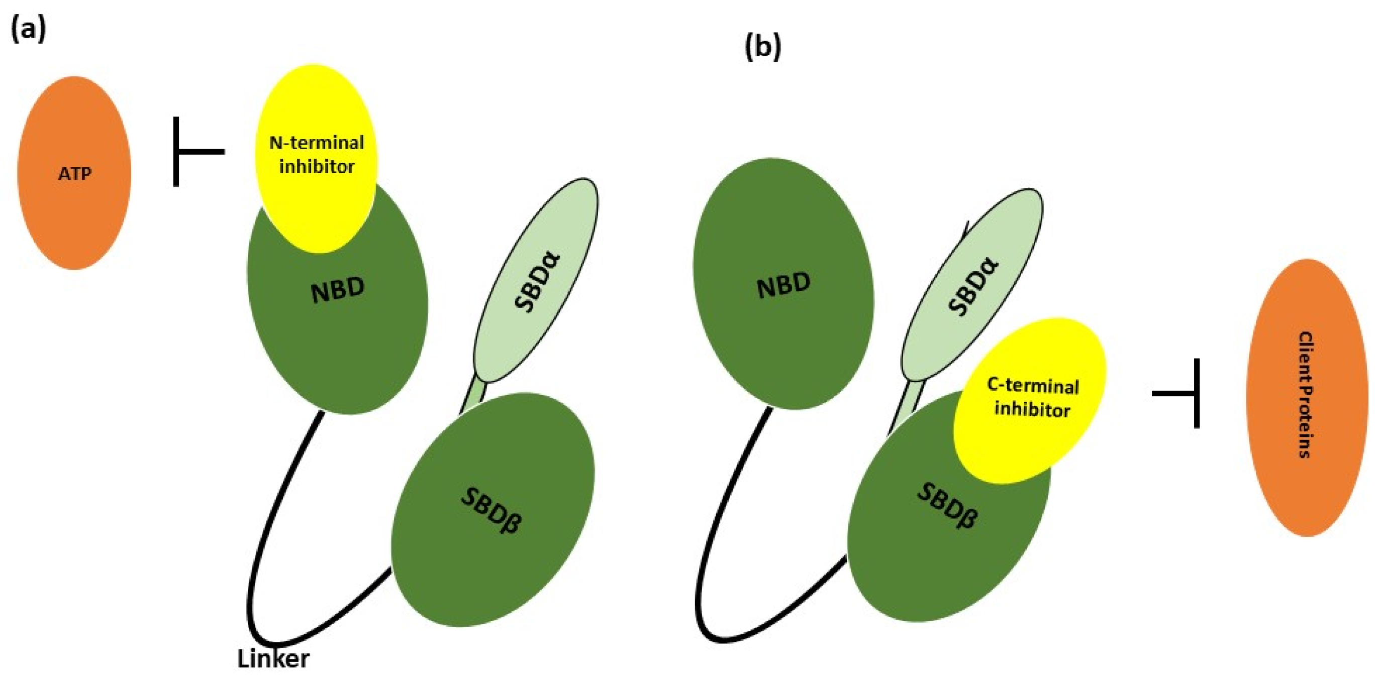 Nanomaterials 14 00112 g002 Nanomaterials 14 00112 g002