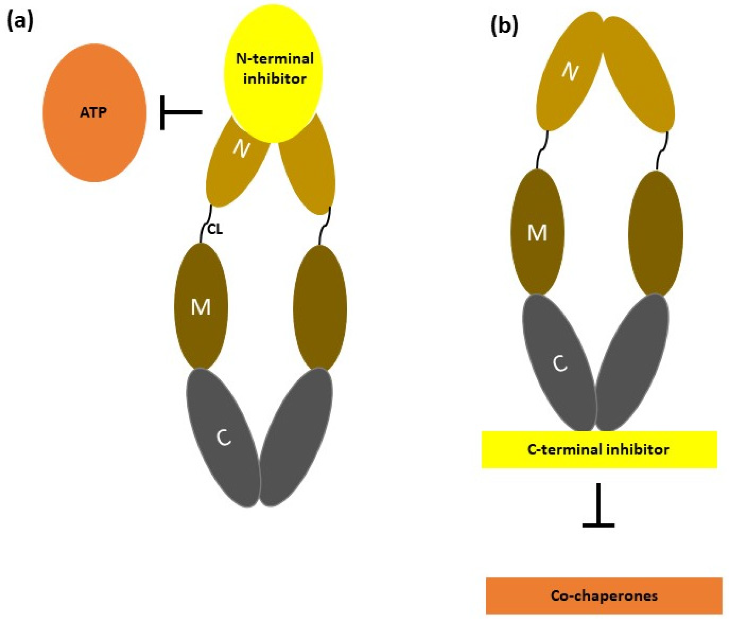 Nanomaterials 14 00112 g003 Nanomaterials 14 00112 g003