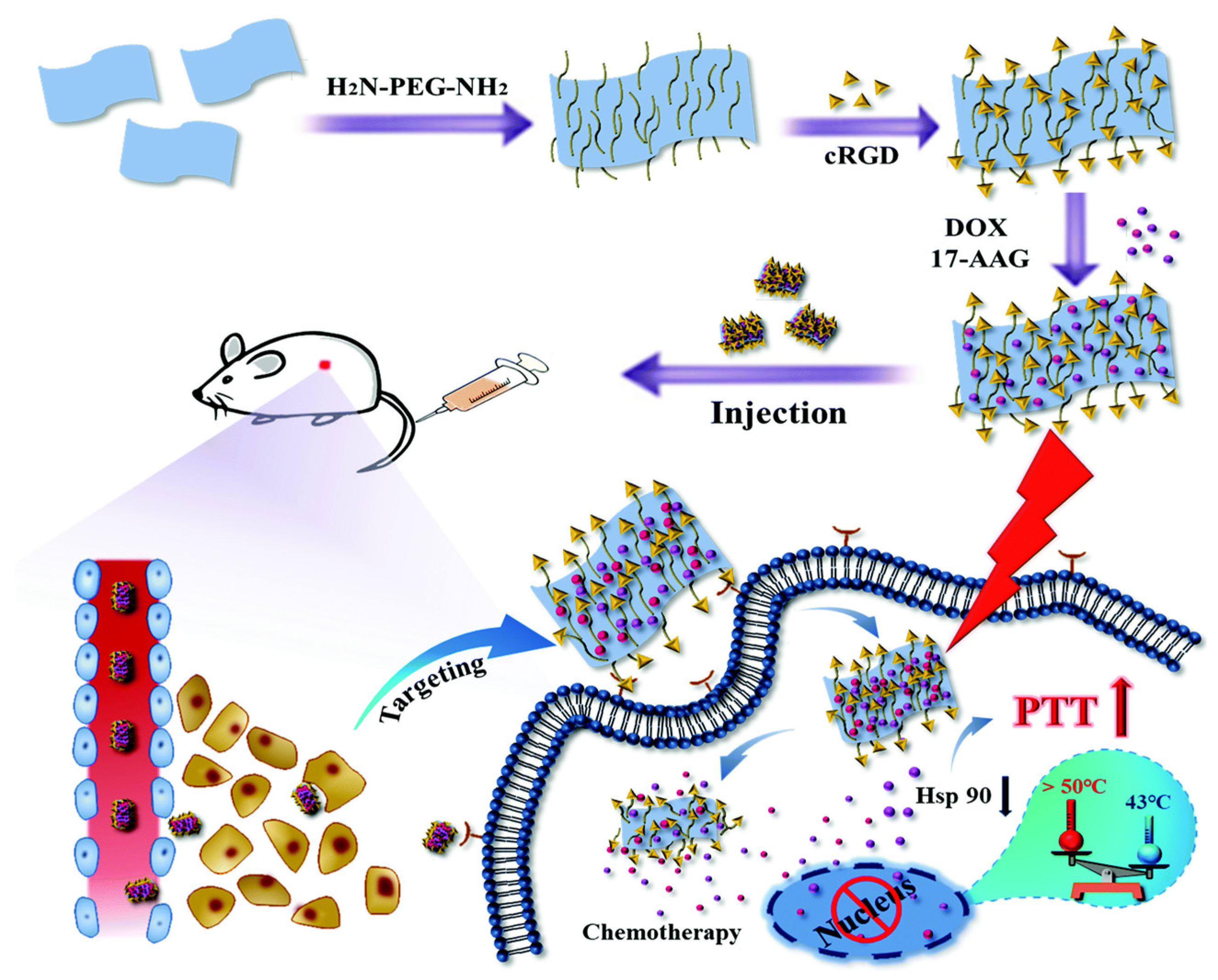 Nanomaterials 14 00112 g006 Nanomaterials 14 00112 g006