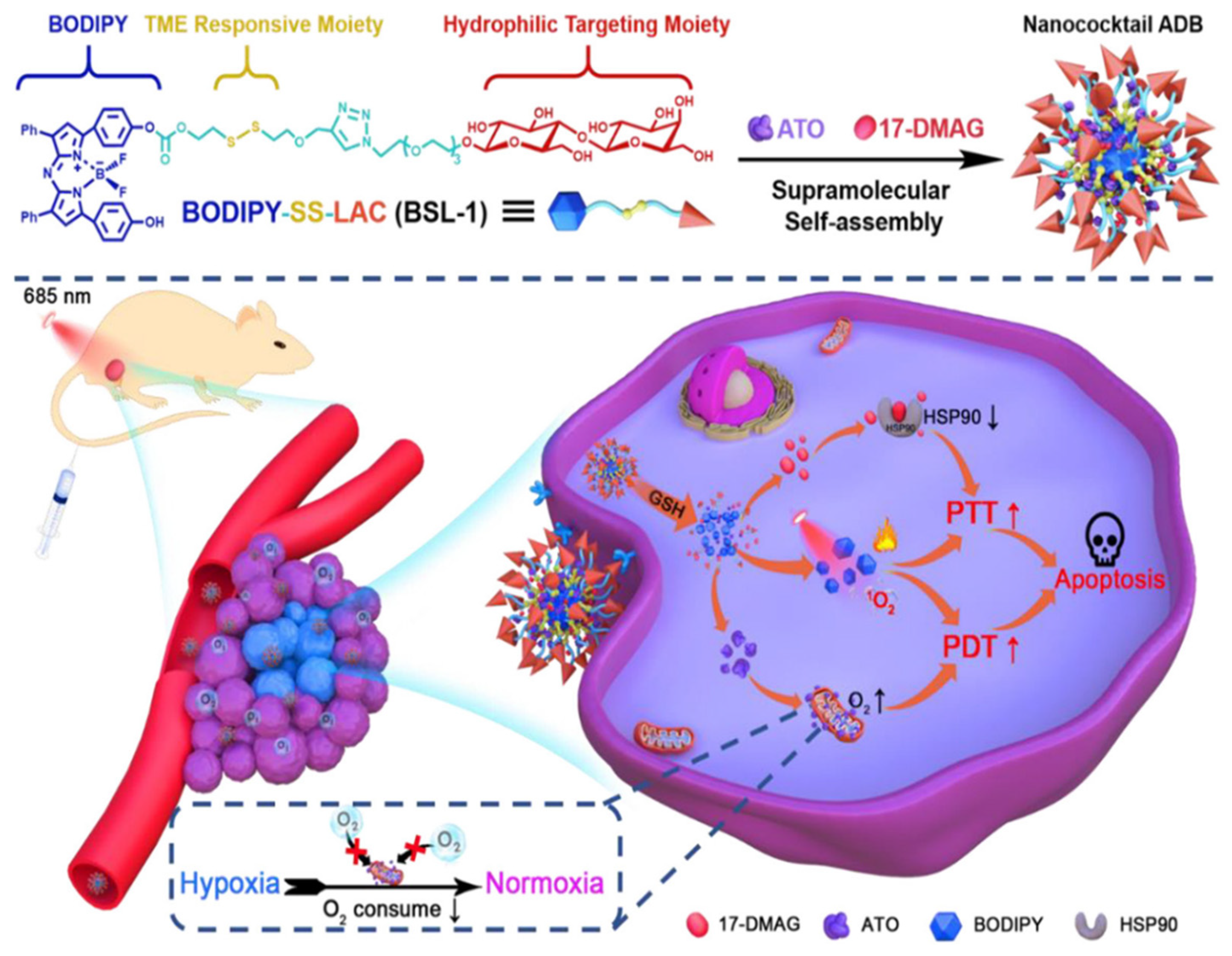 Nanomaterials 14 00112 g007 Nanomaterials 14 00112 g007