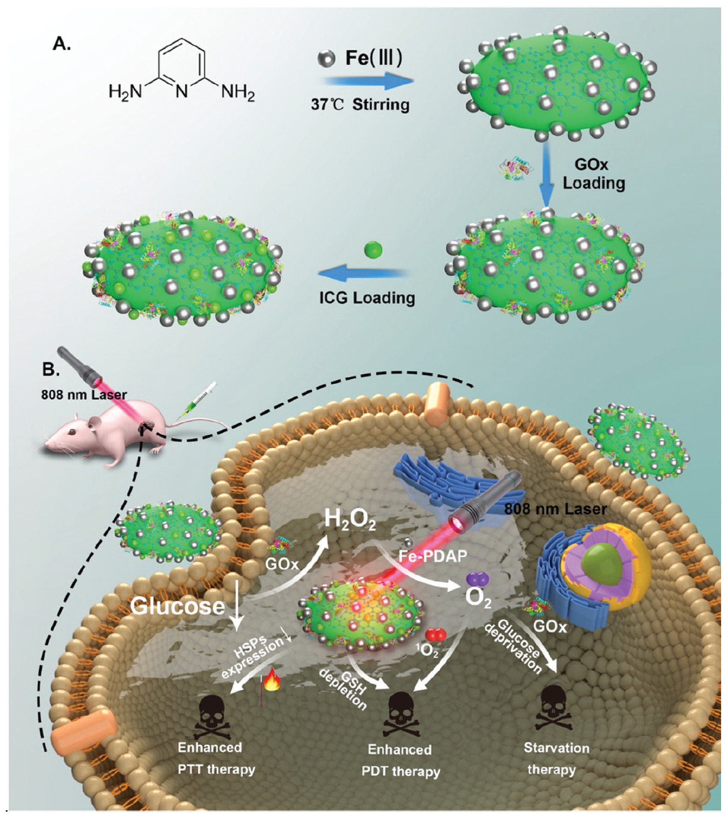 Nanomaterials 14 00112 g009 Nanomaterials 14 00112 g009