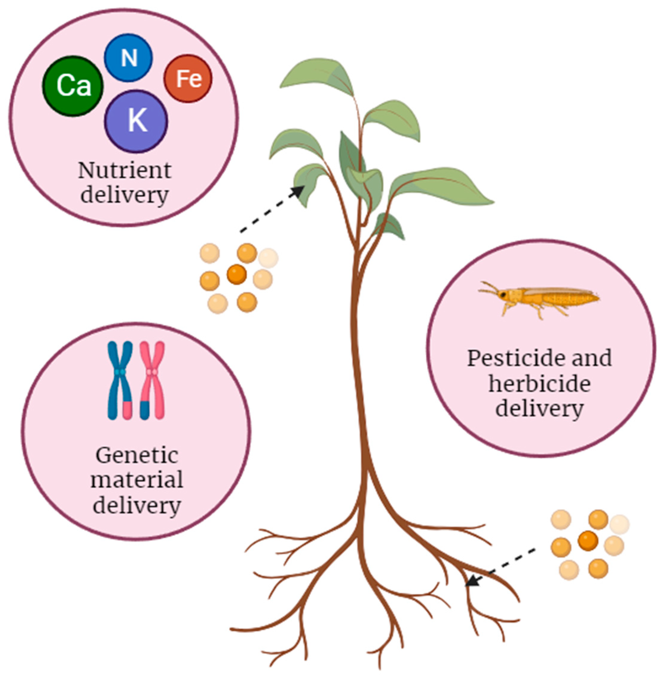 Nanomaterials 14 00131 g001
