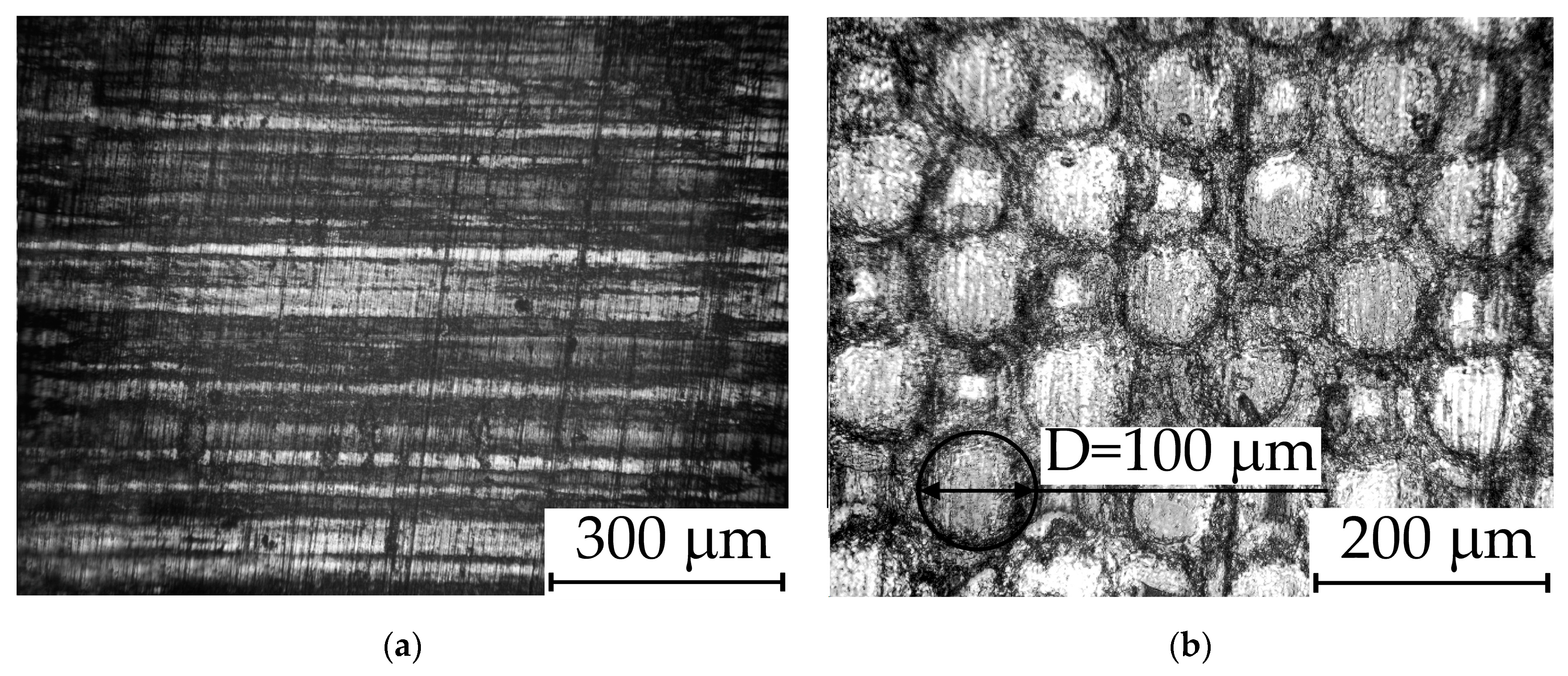 Nanomaterials 14 00139 g003