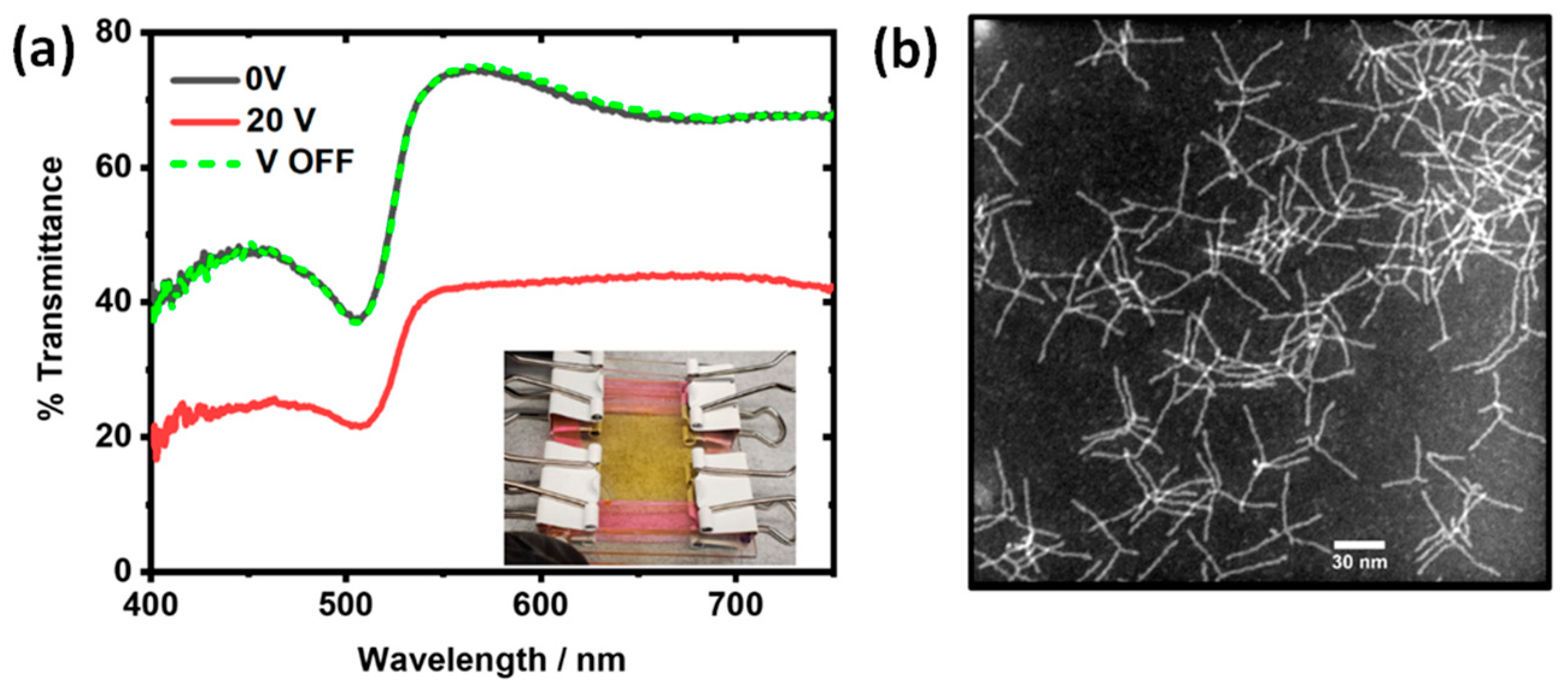 Nanomaterials 14 00142 g005