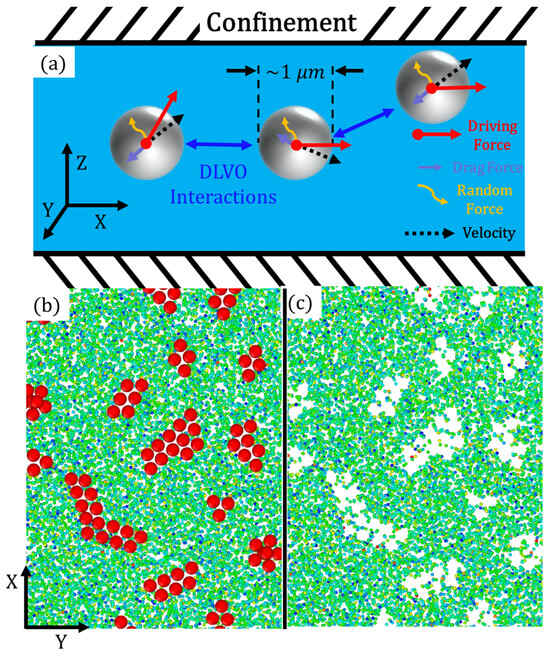 Nanomaterials | Free Full-Text | Dynamic Clustering and Scaling 