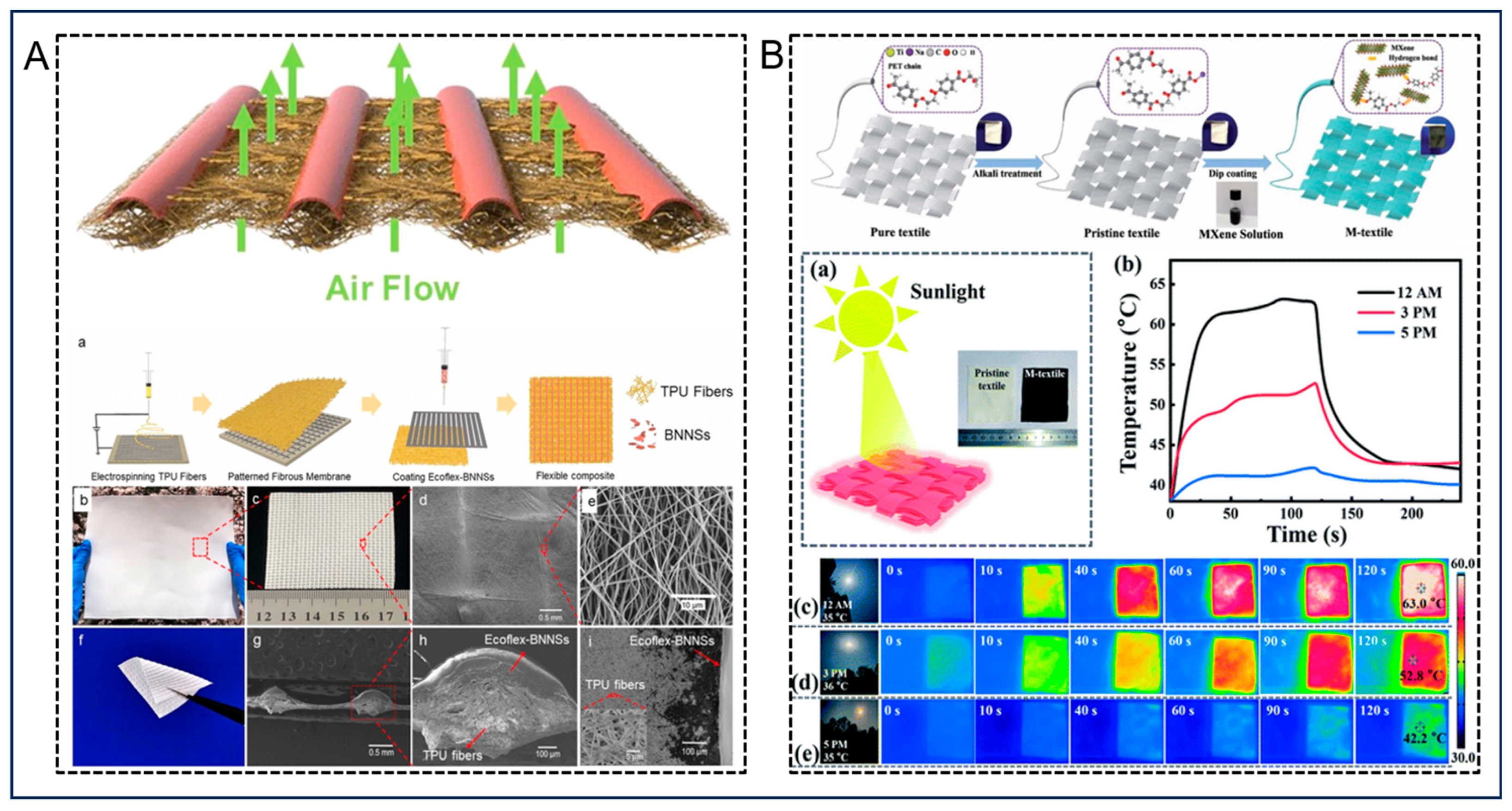 Nanomaterials 14 00154 g004