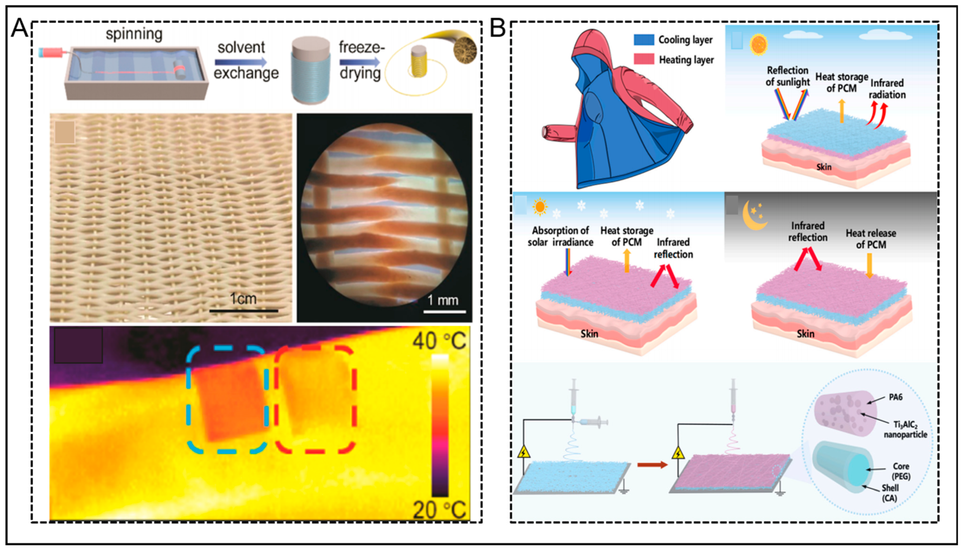 Nanomaterials 14 00154 g007