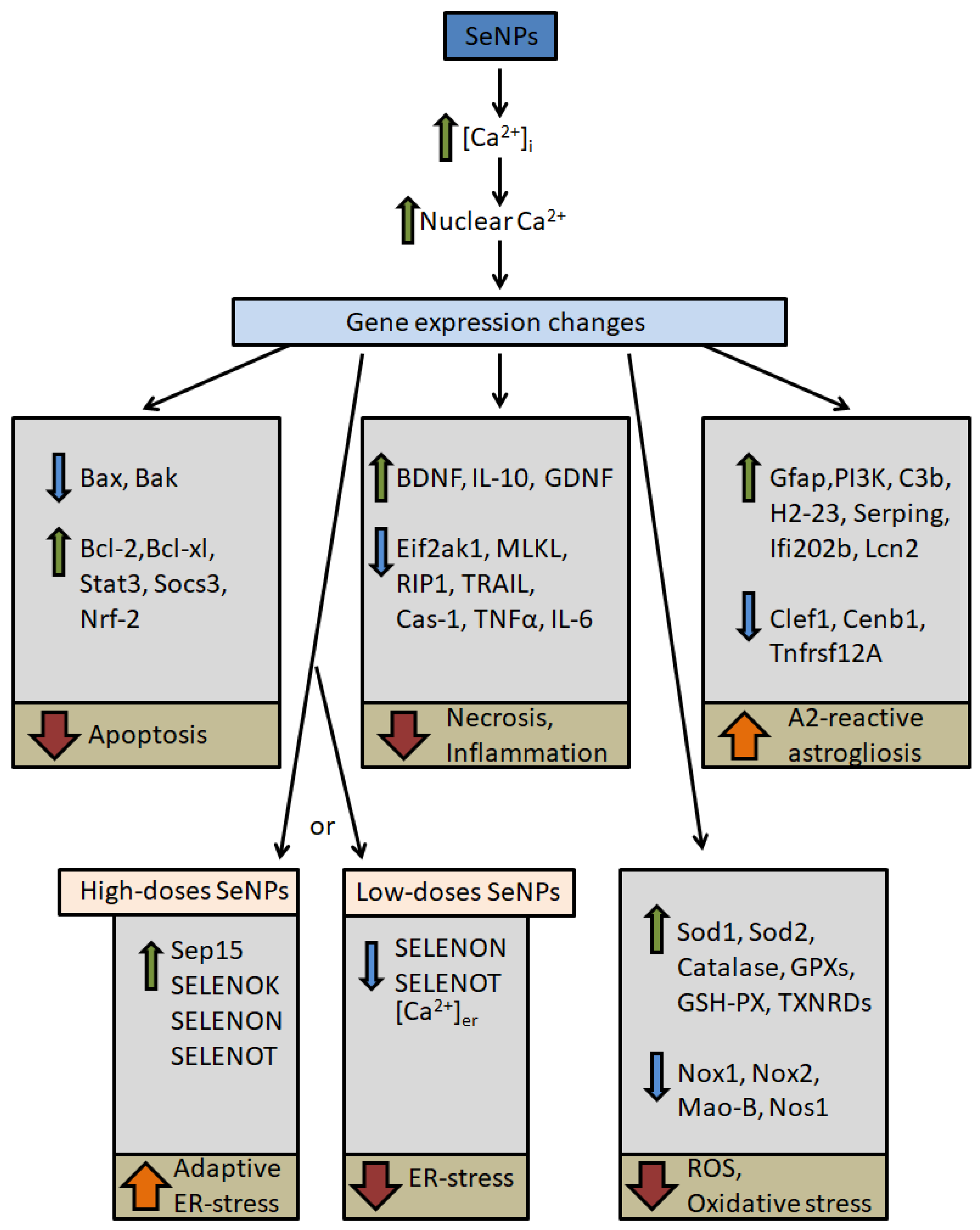 Nanomaterials 14 00160 g002