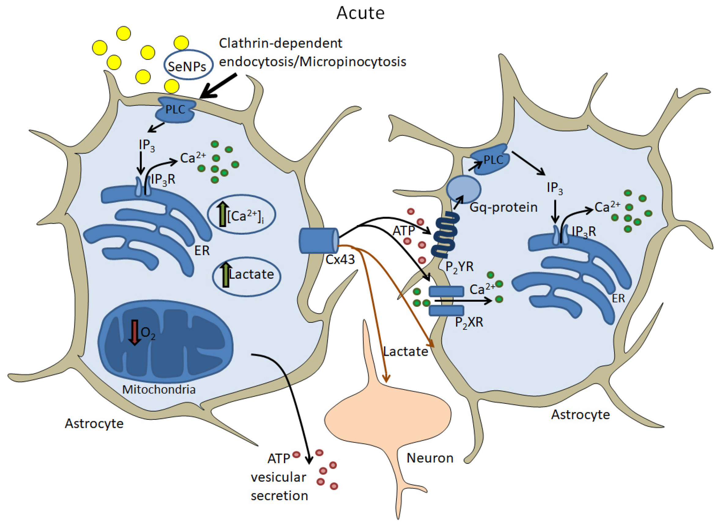 Nanomaterials 14 00160 g003