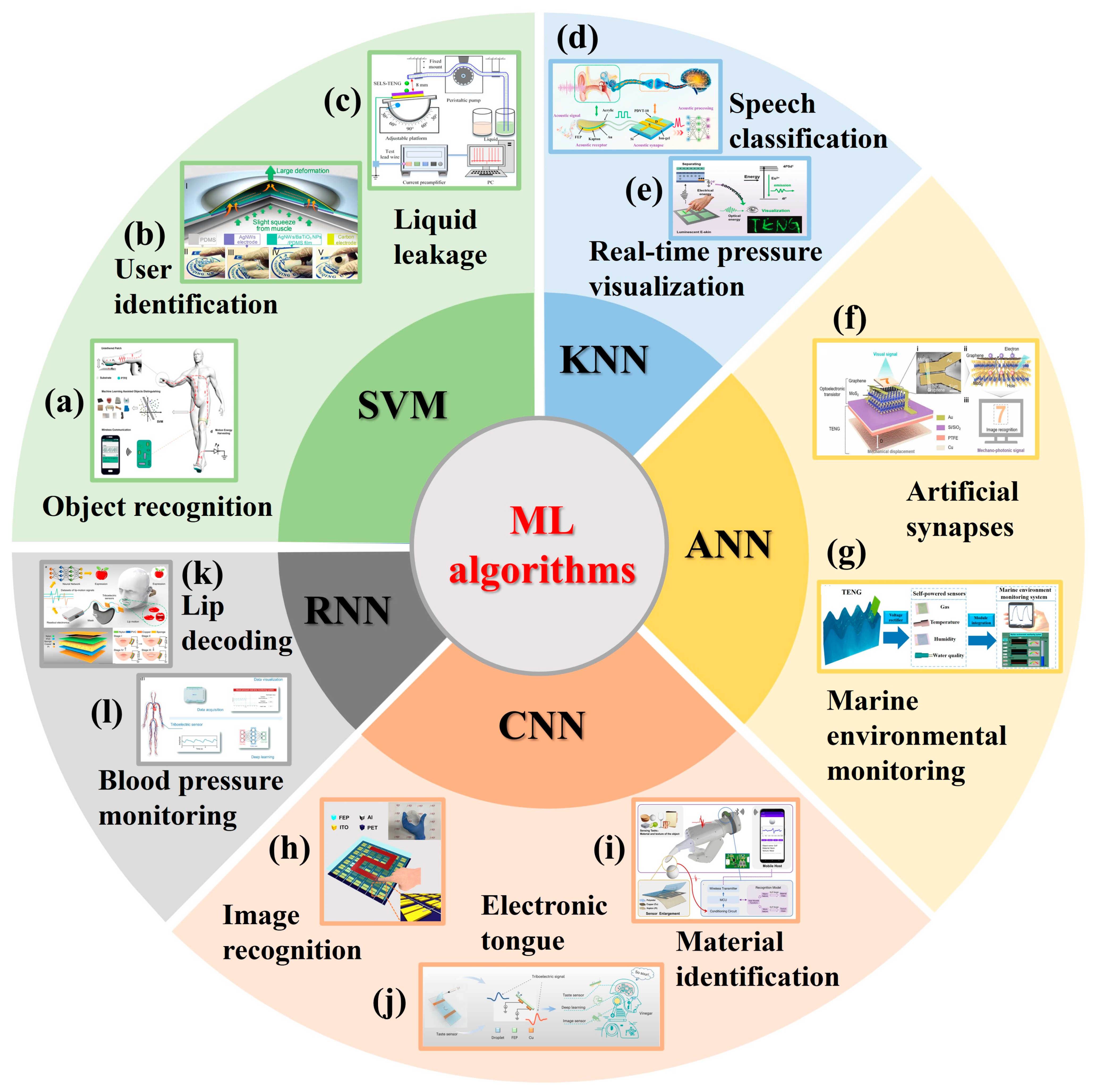 Nanomaterials 14 00165 g001