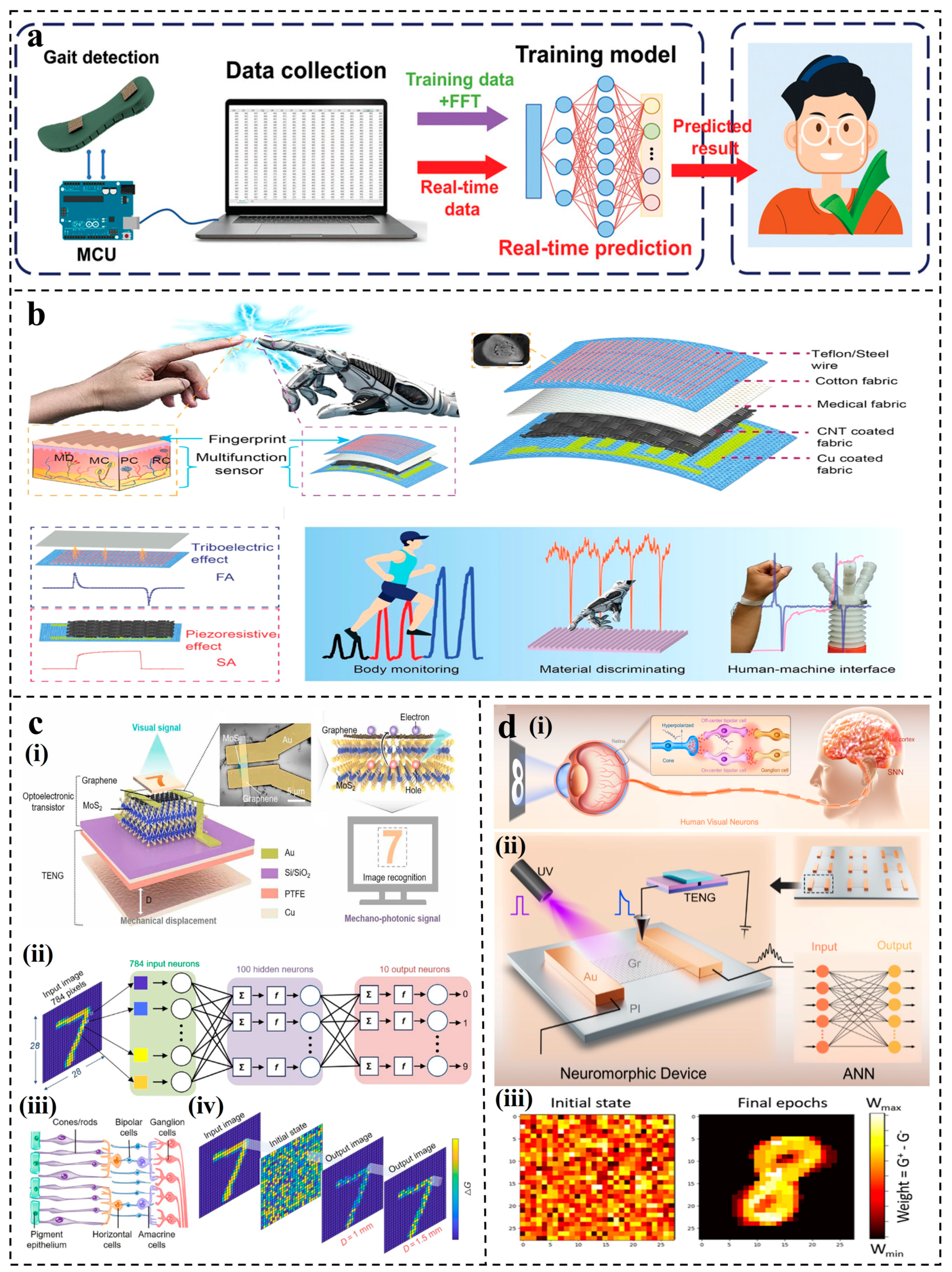 Nanomaterials 14 00165 g005