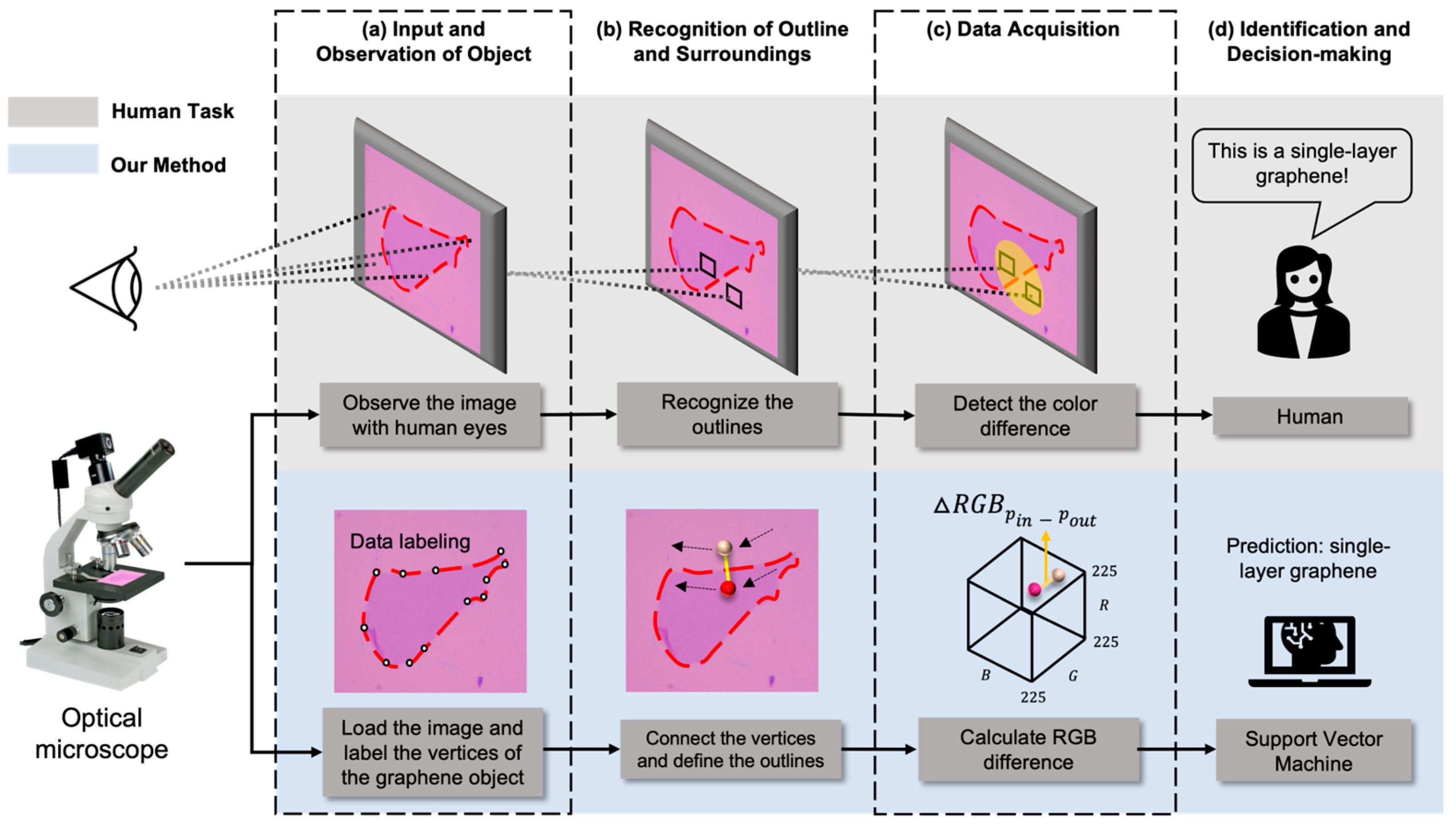 Nanomaterials 14 00183 g001