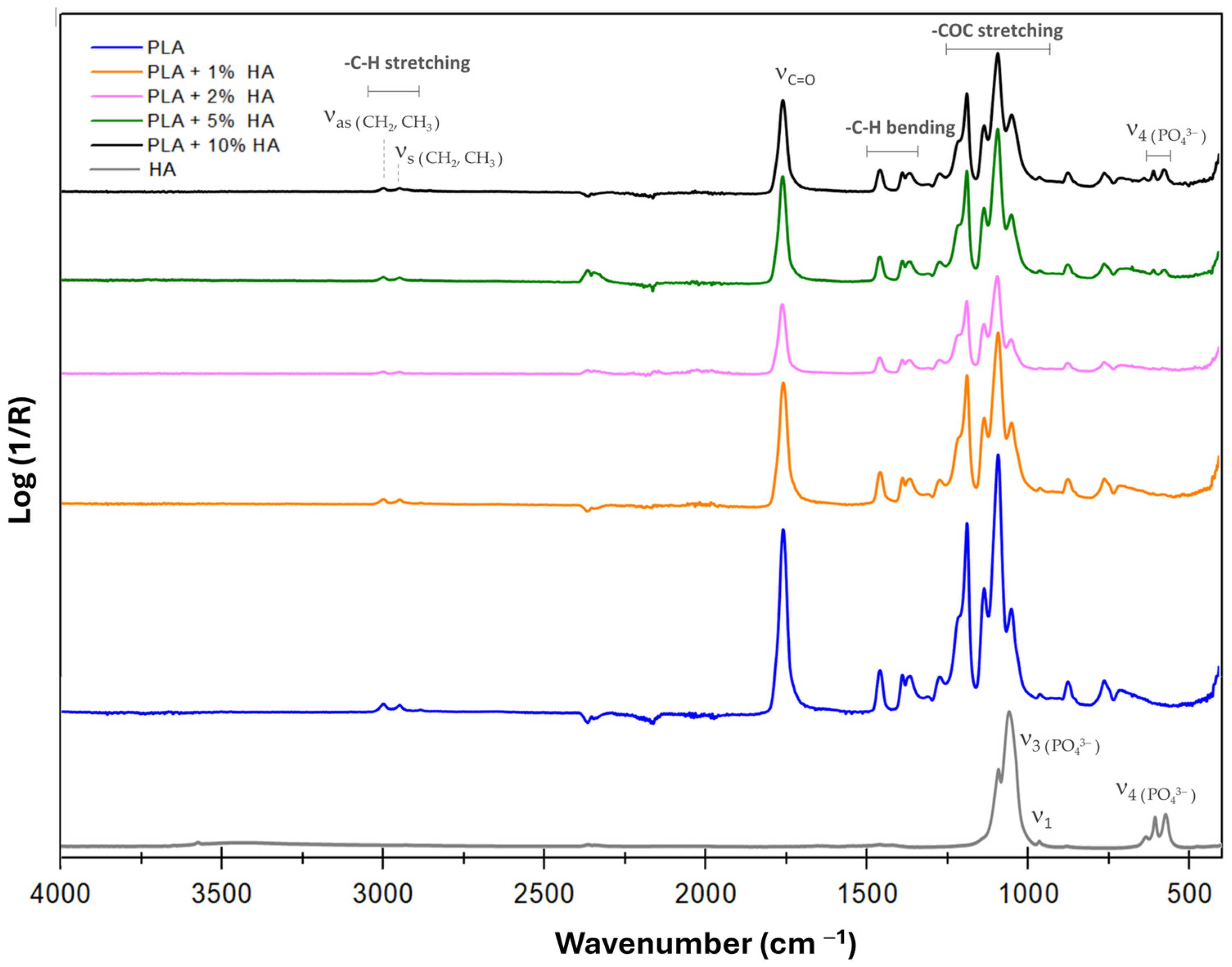 Nanomaterials 14 00196 g002