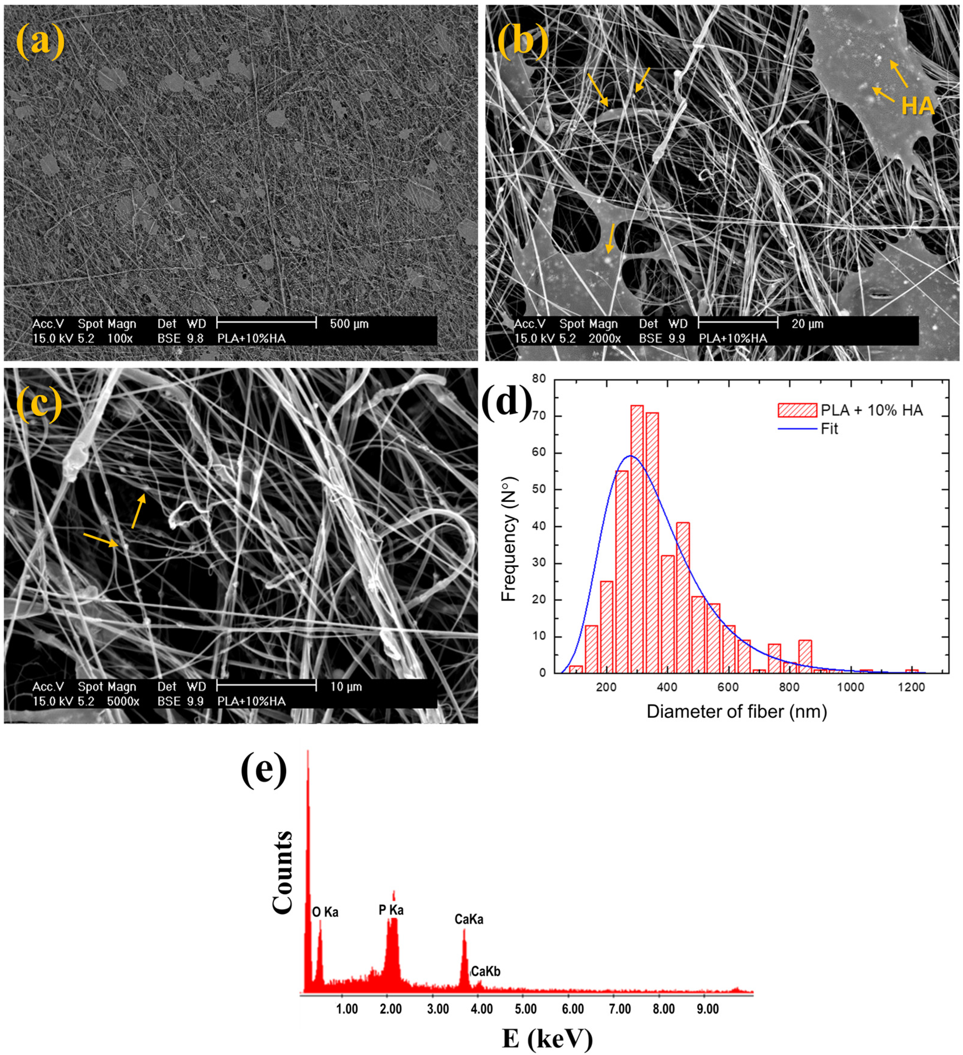 Nanomaterials 14 00196 g004