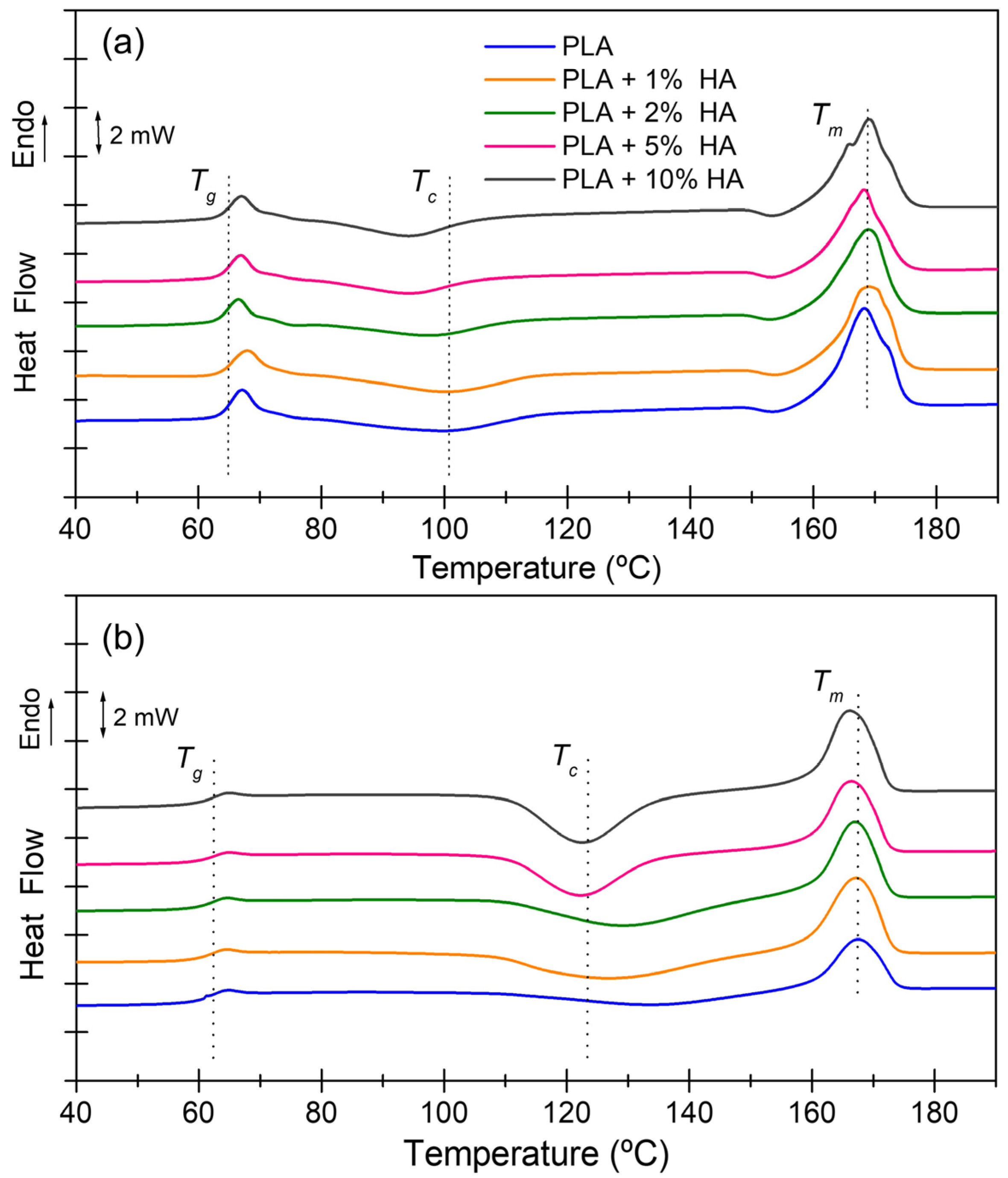 Nanomaterials 14 00196 g006