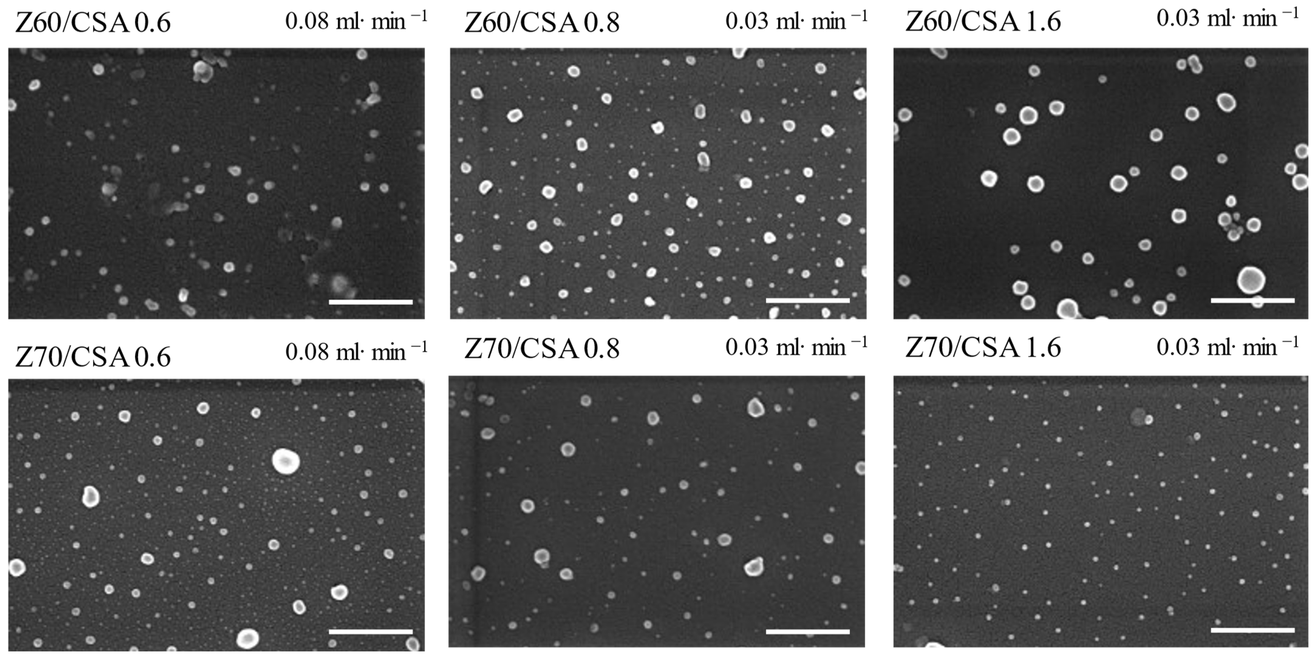 Nanomaterials 14 00197 g005