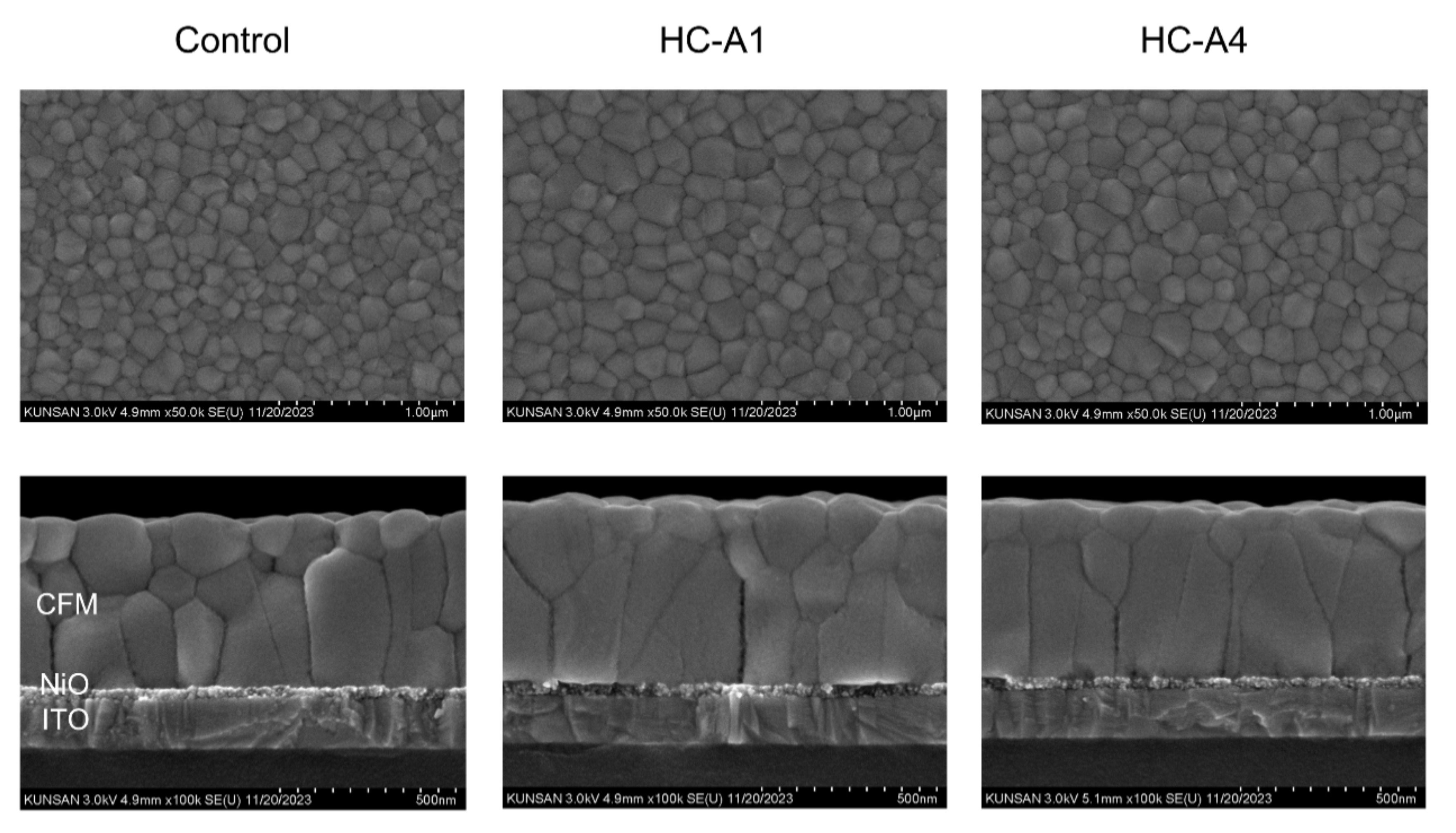 Nanomaterials 14 00214 g003