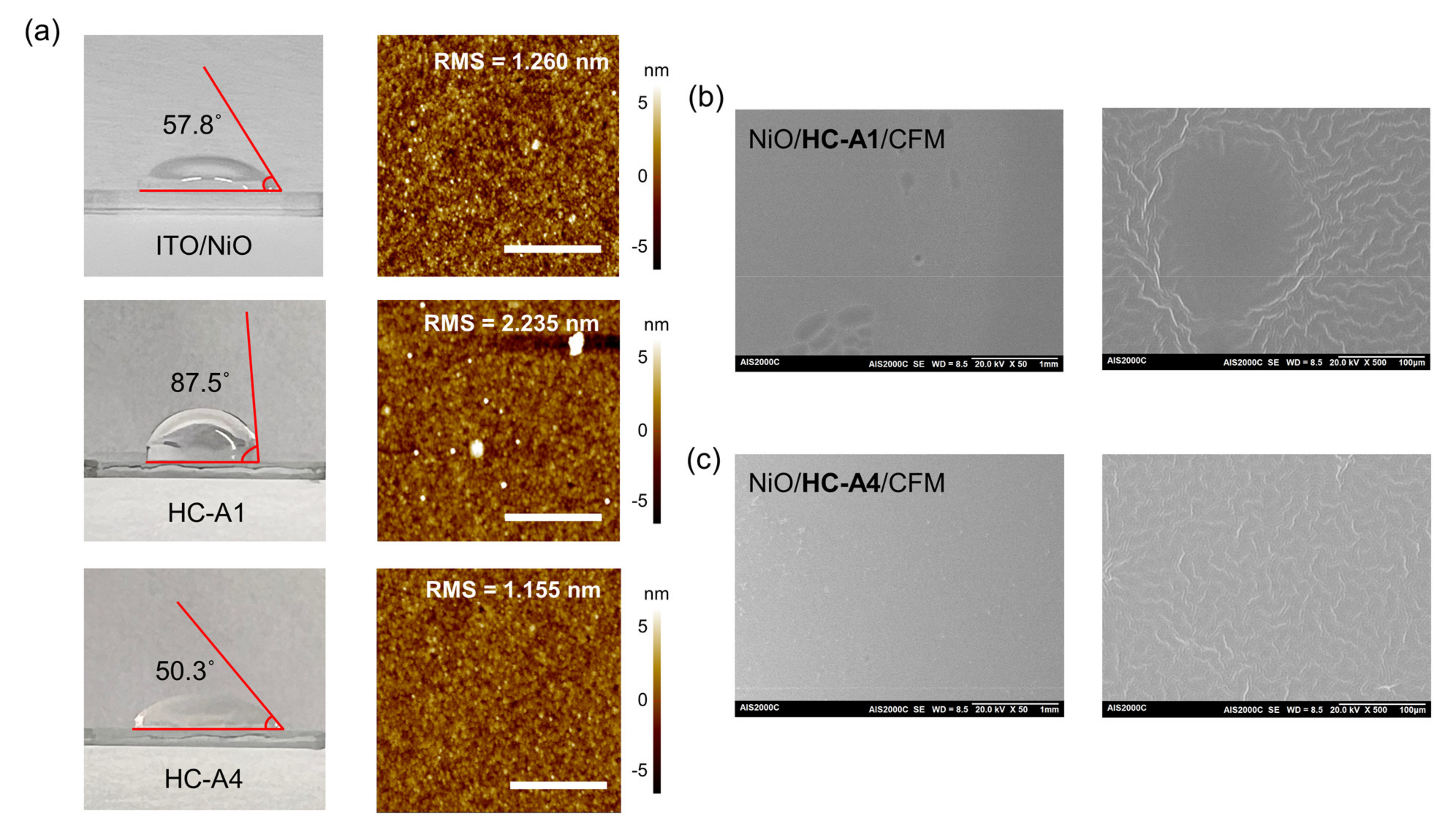 Nanomaterials 14 00214 g004