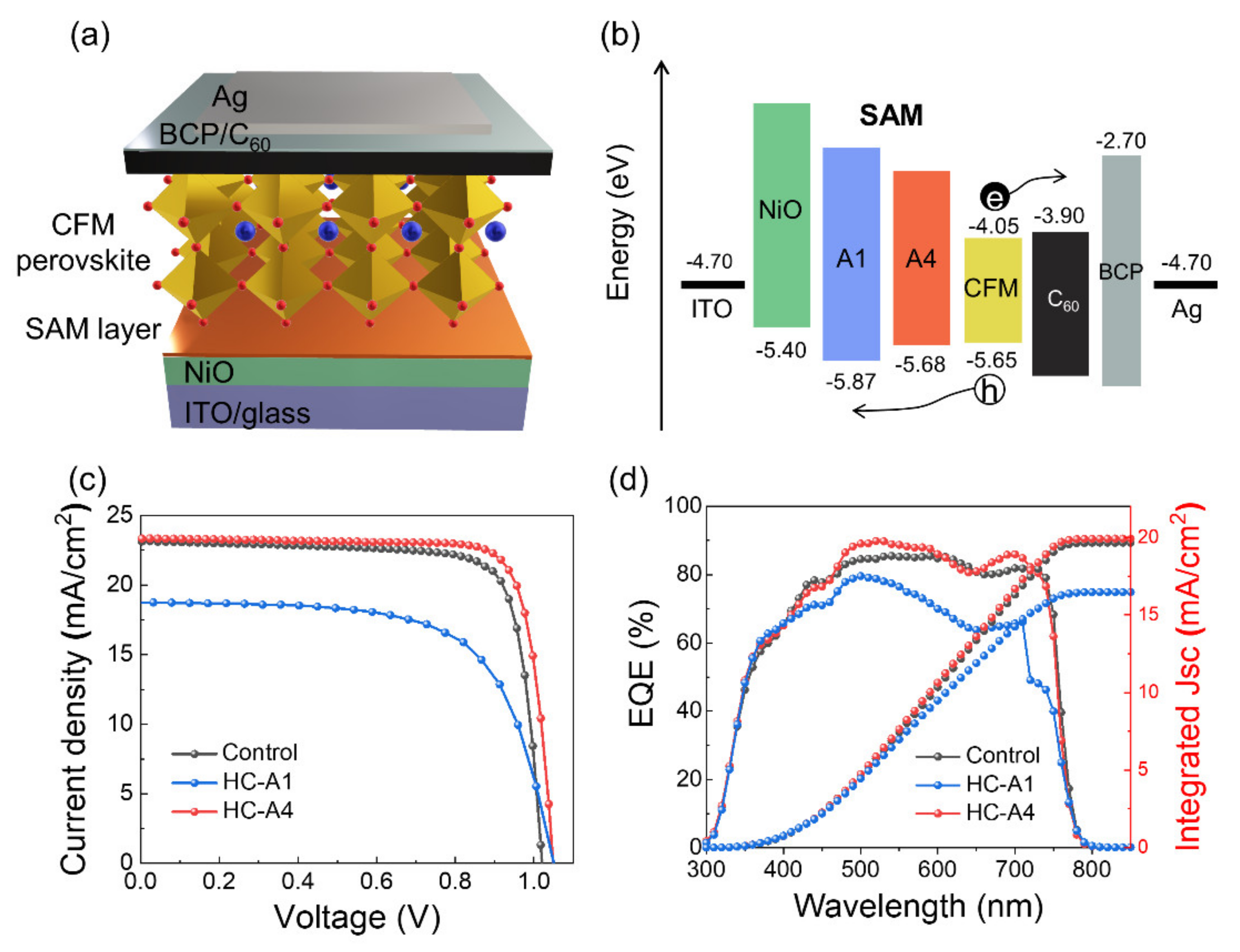 Nanomaterials 14 00214 g006