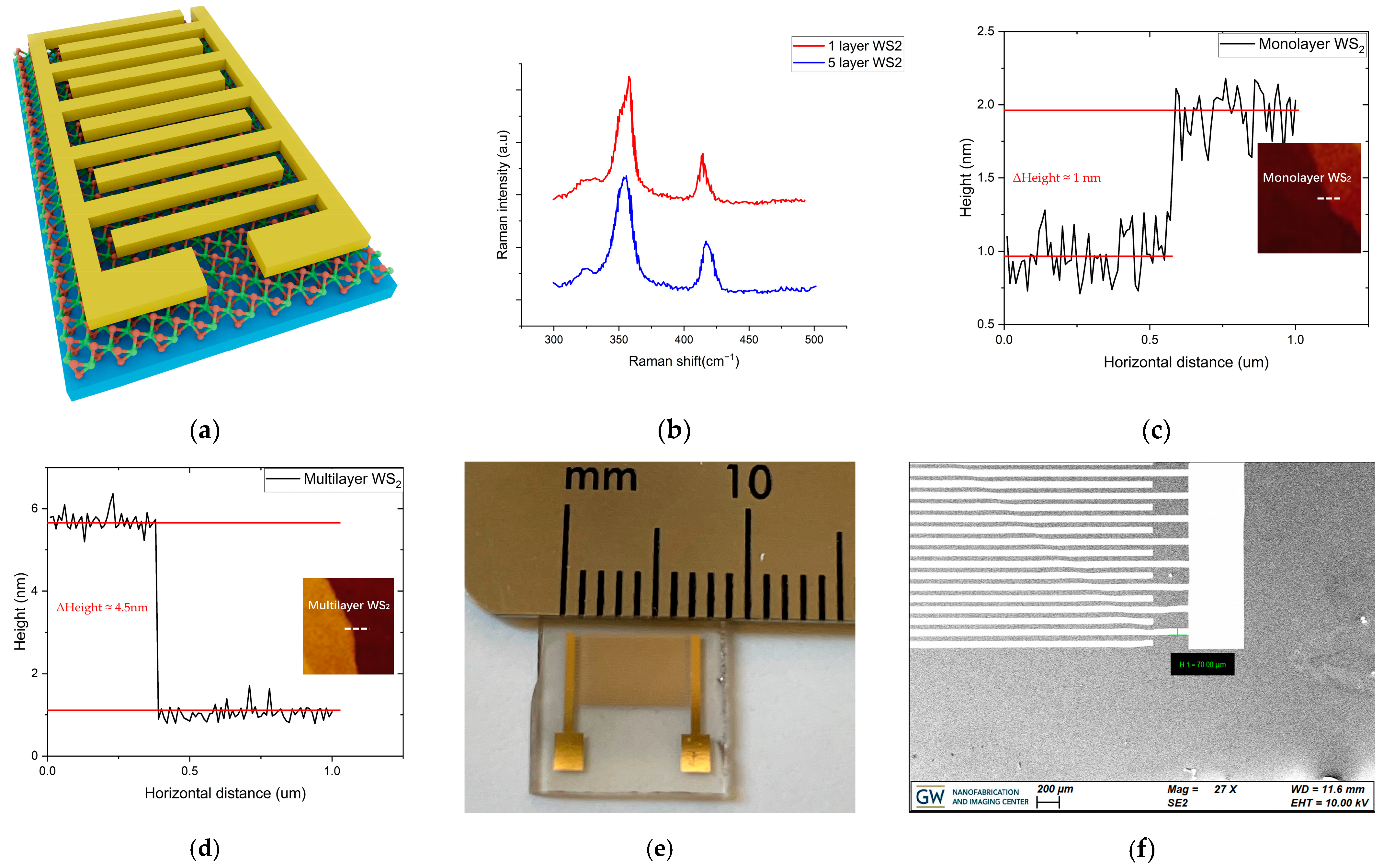 Nanomaterials 14 00235 g001