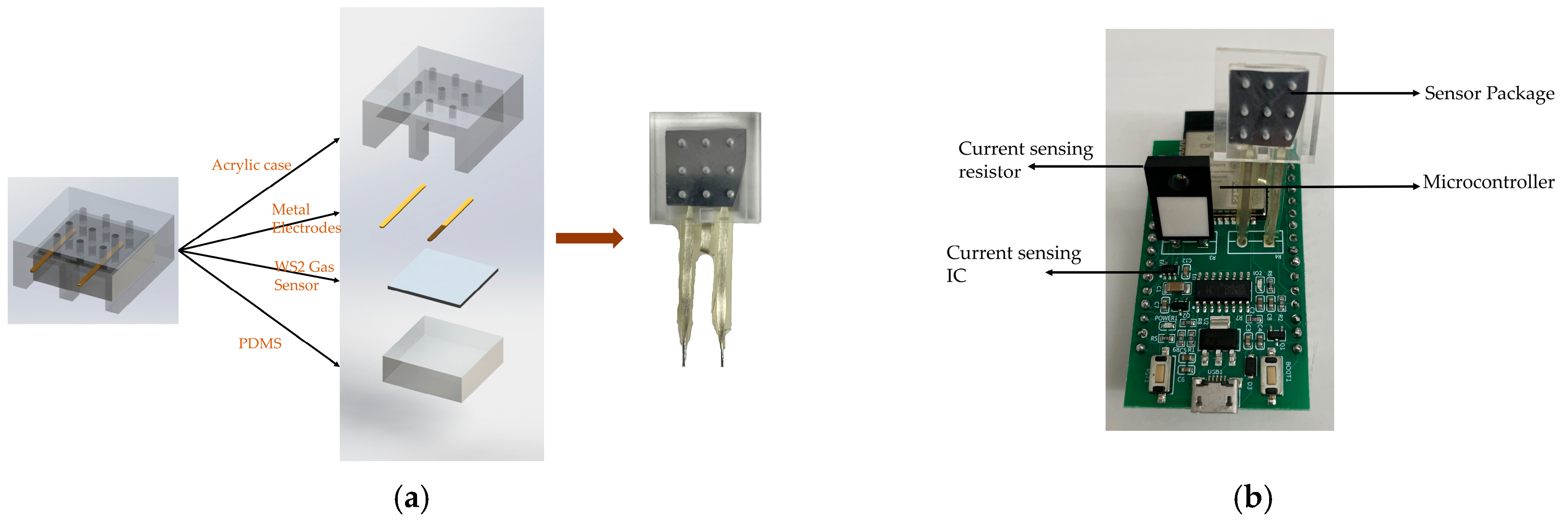 Nanomaterials 14 00235 g008