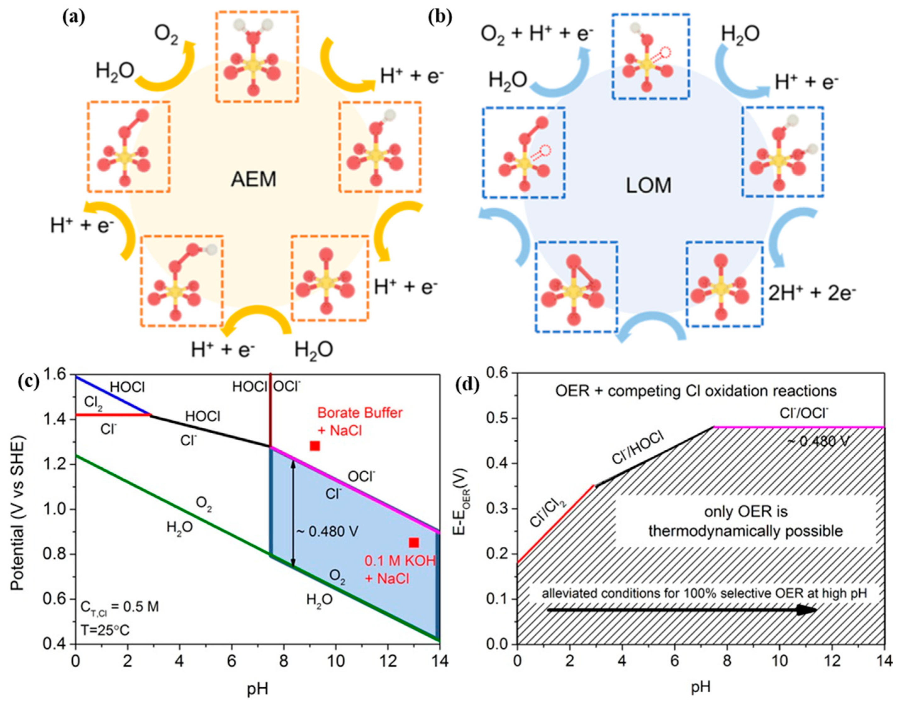 Nanomaterials 14 00239 g002