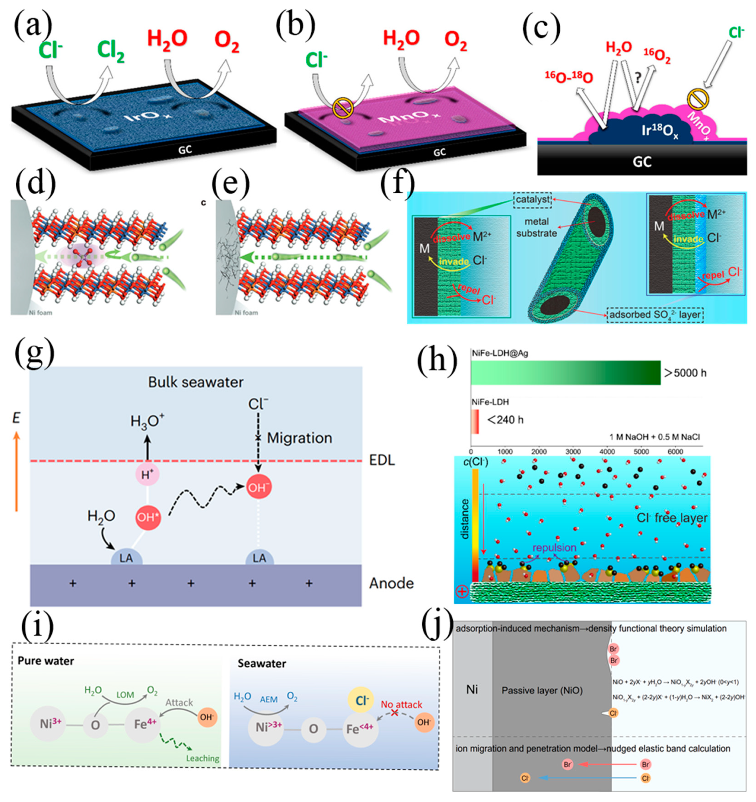 Nanomaterials 14 00239 g005