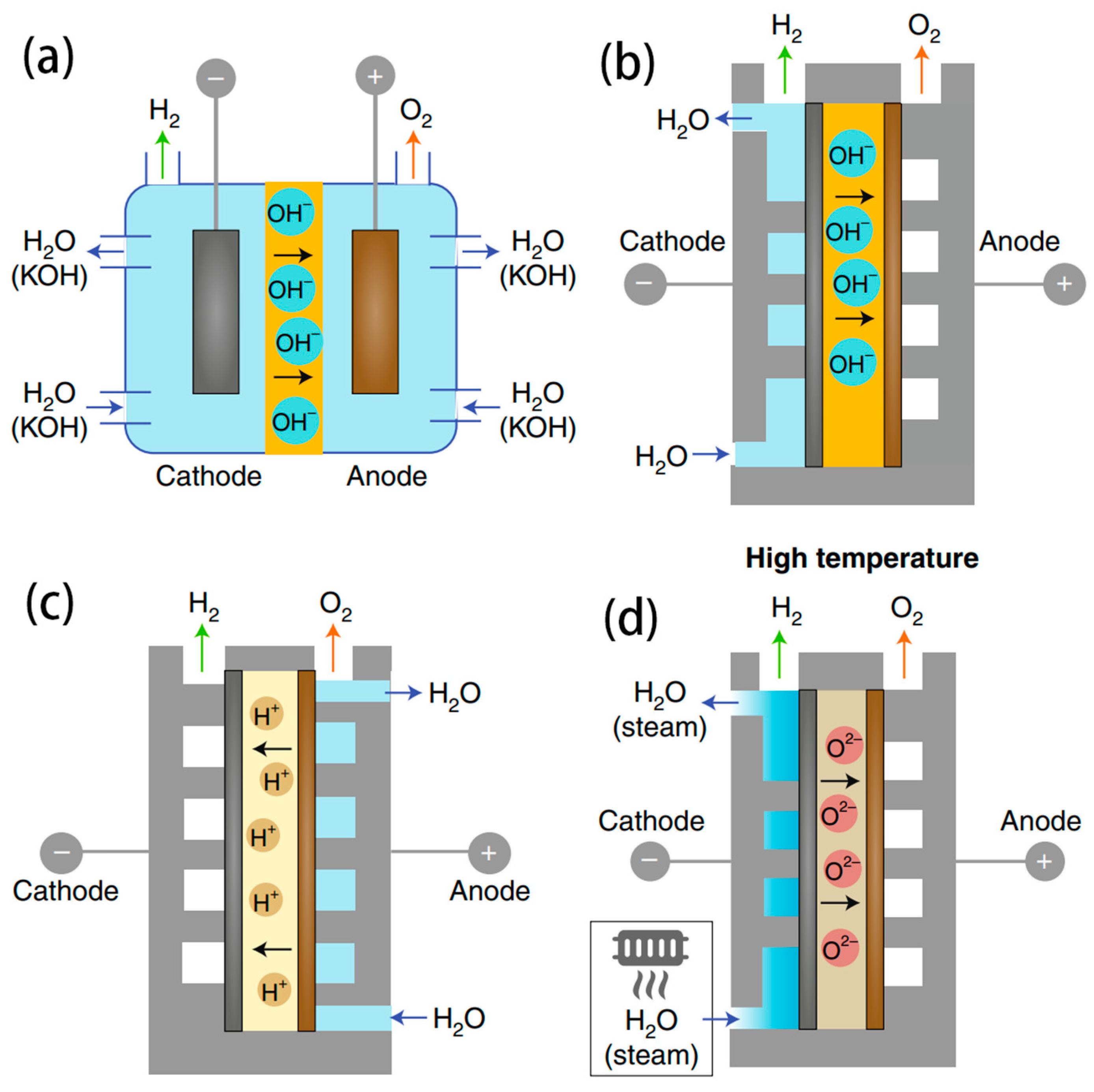 Nanomaterials 14 00239 g006