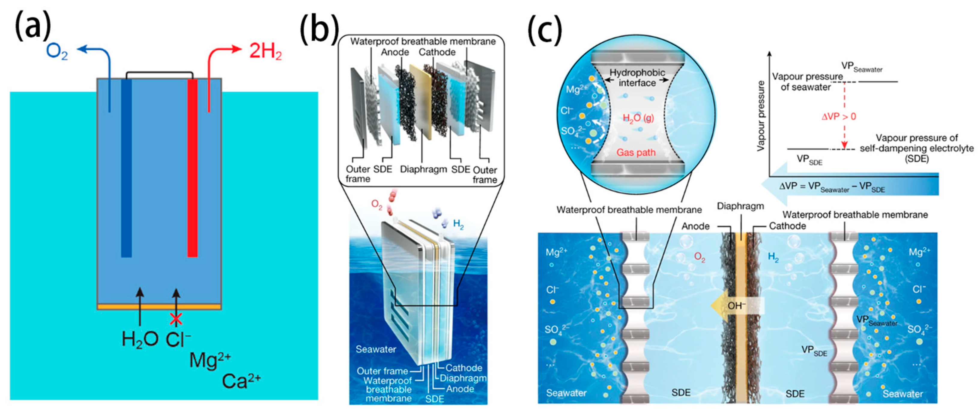 Nanomaterials 14 00239 g008