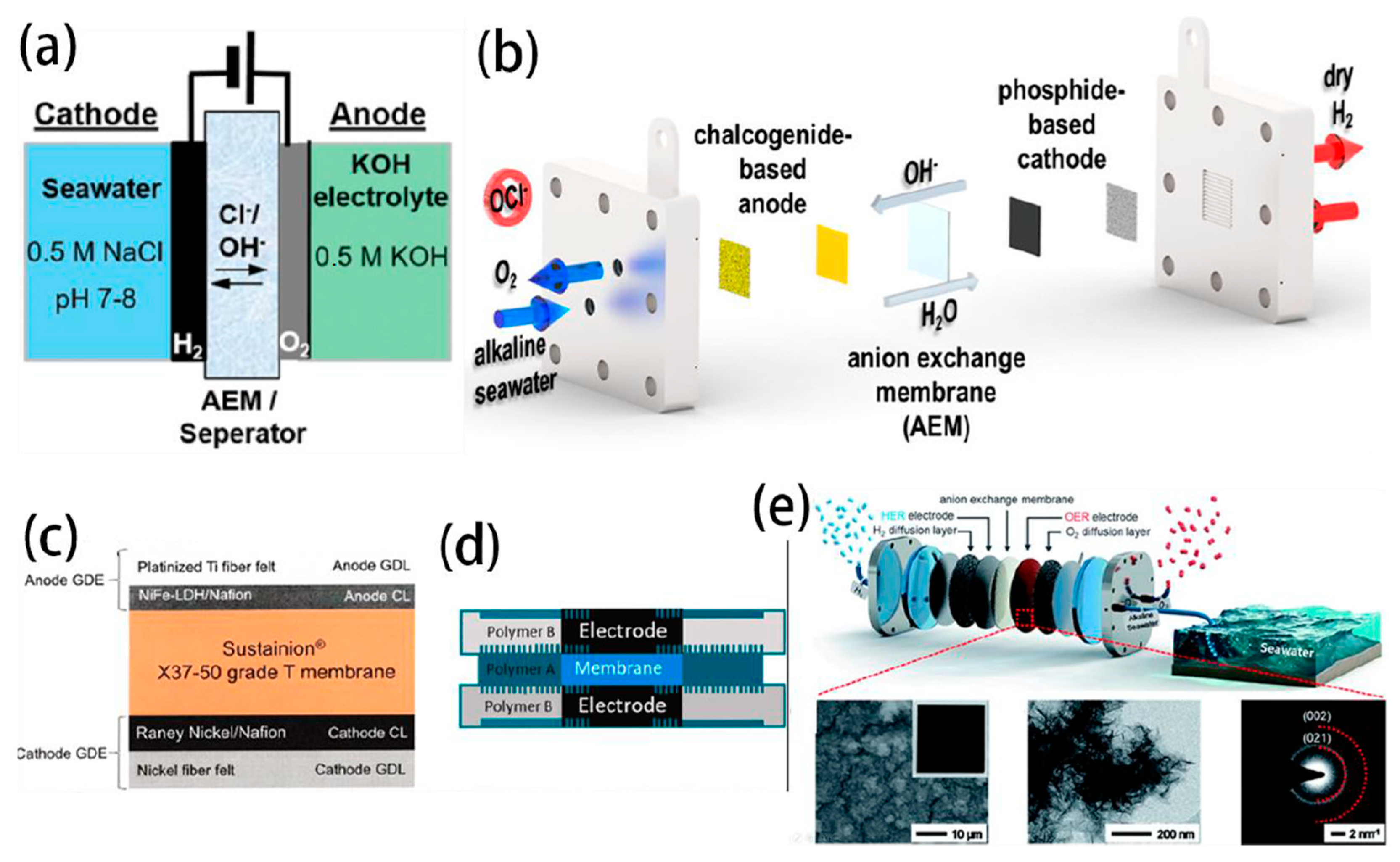Nanomaterials 14 00239 g010
