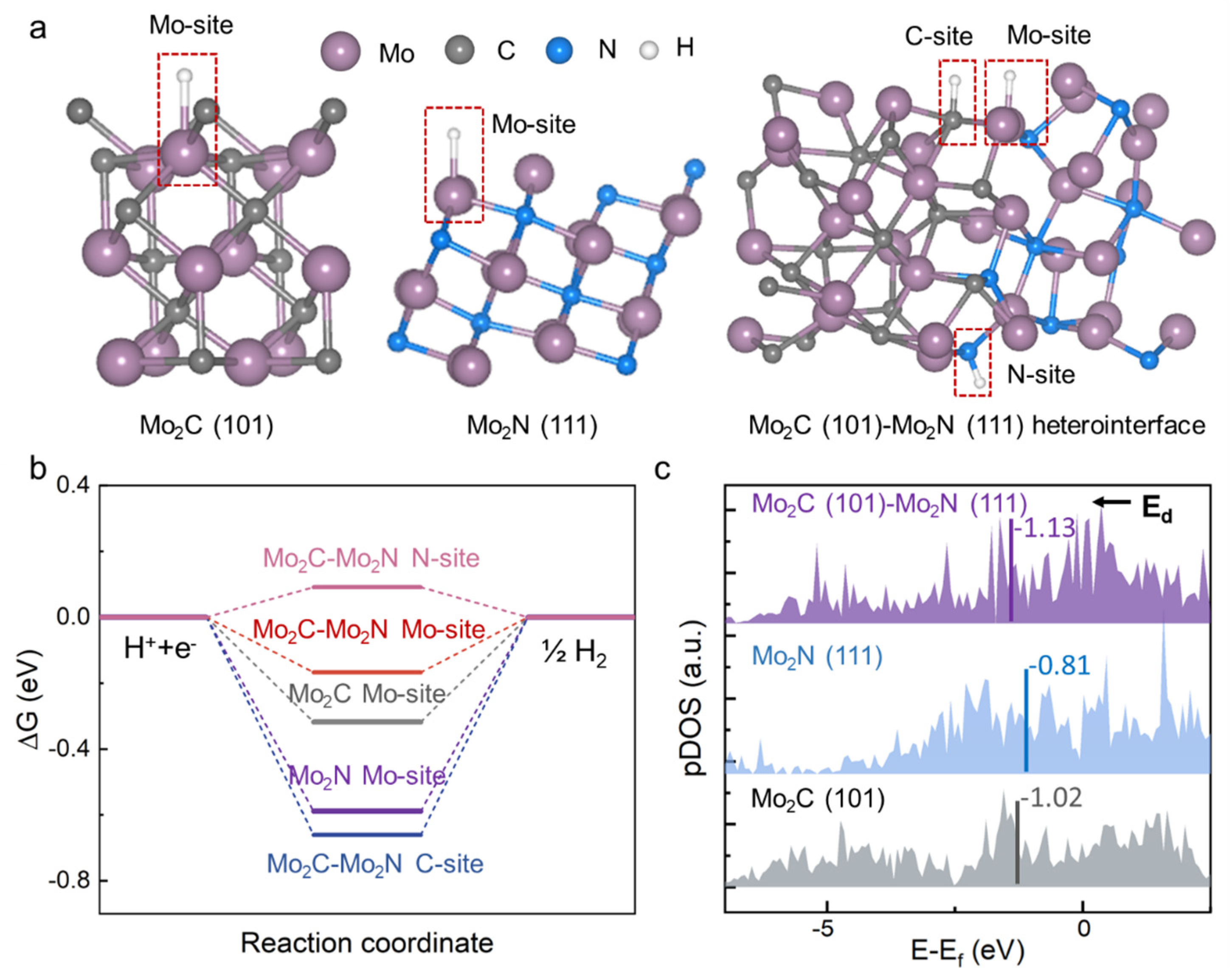 Nanomaterials 14 00243 g005