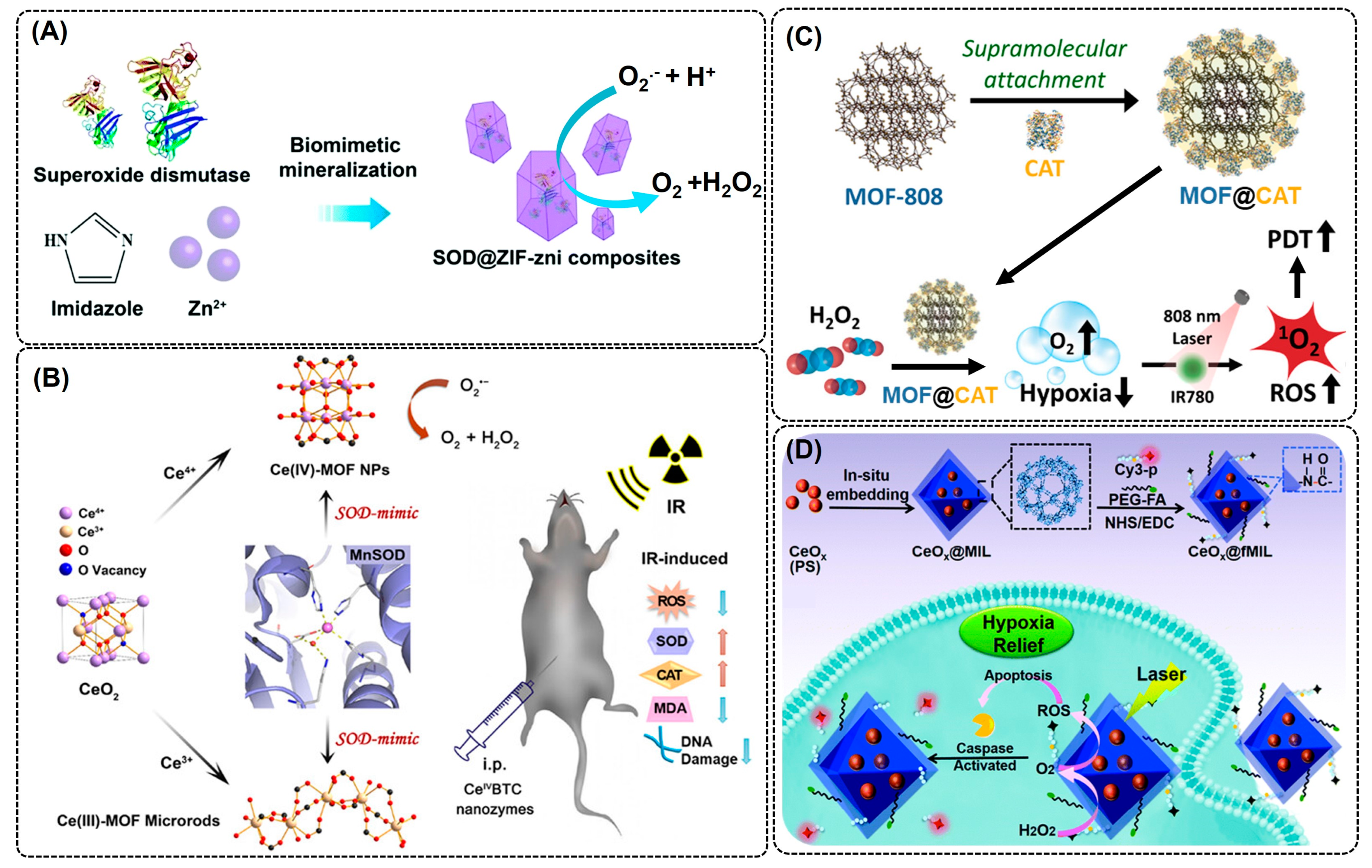 Nanomaterials 14 00244 g004