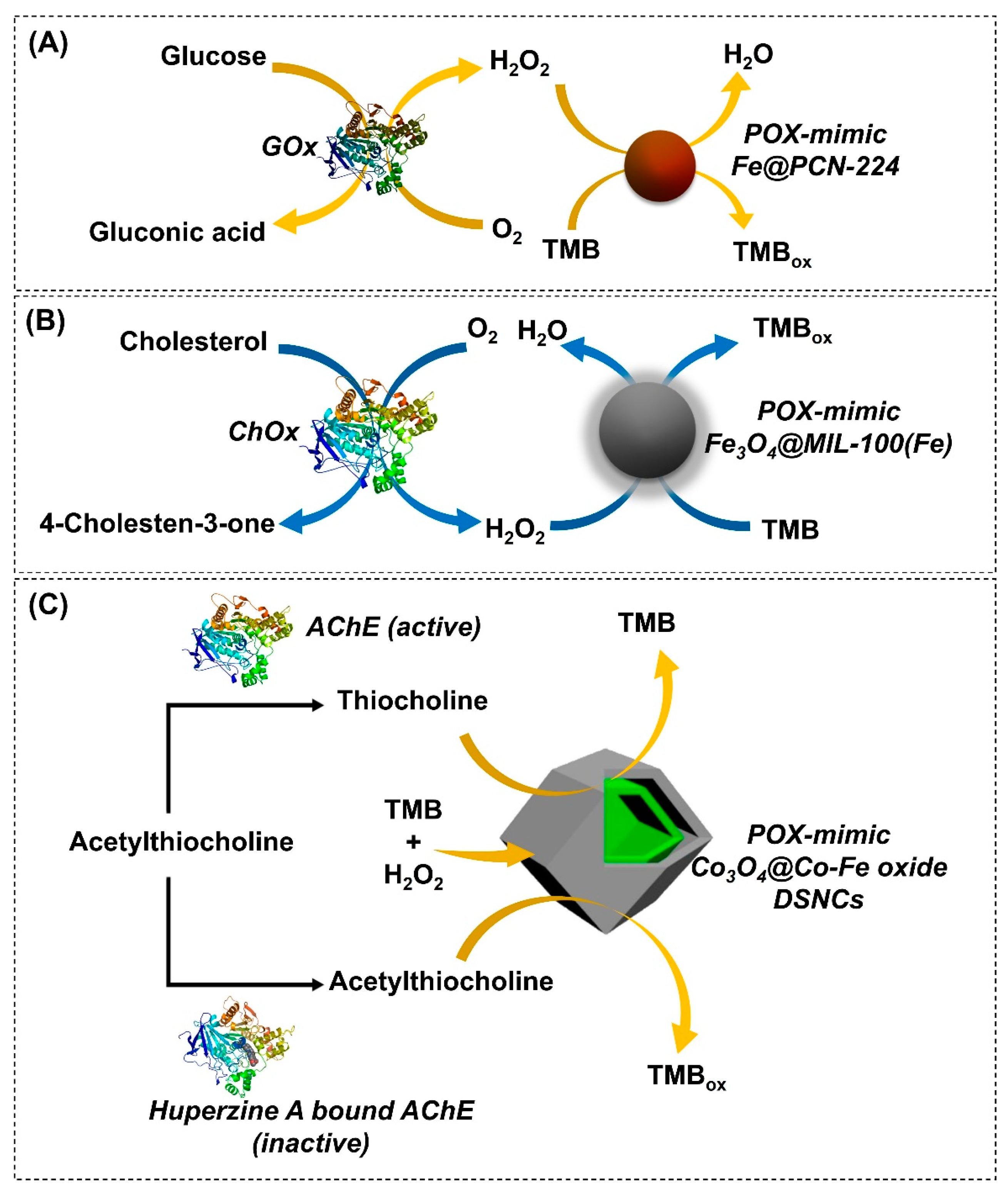 Nanomaterials 14 00244 g006