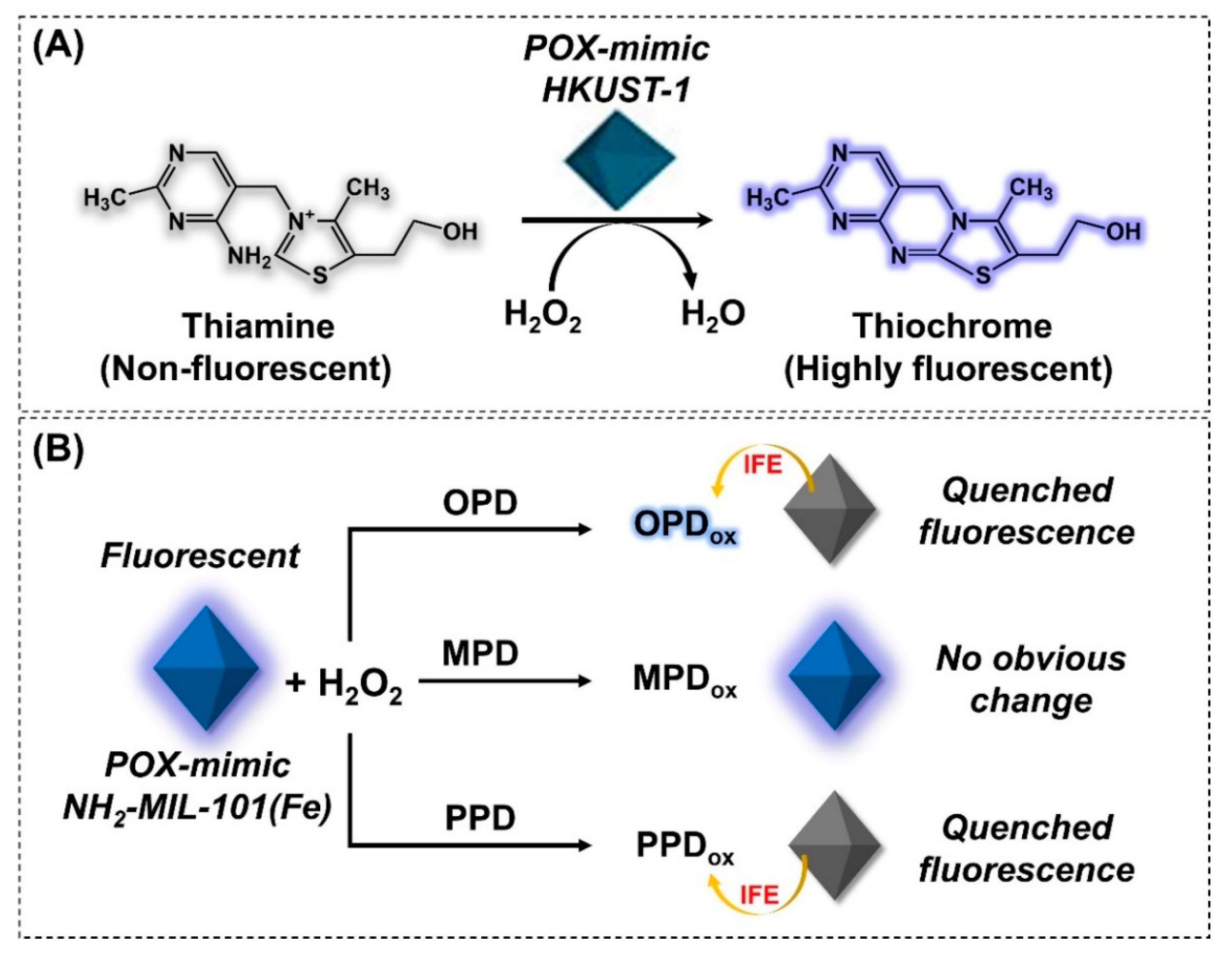 Nanomaterials 14 00244 g007