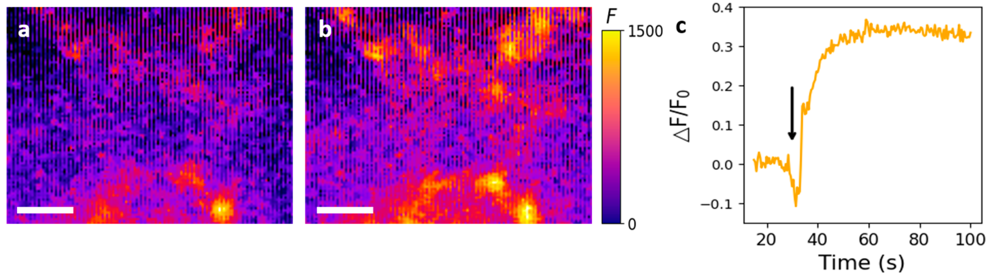 Nanomaterials 14 00247 g004