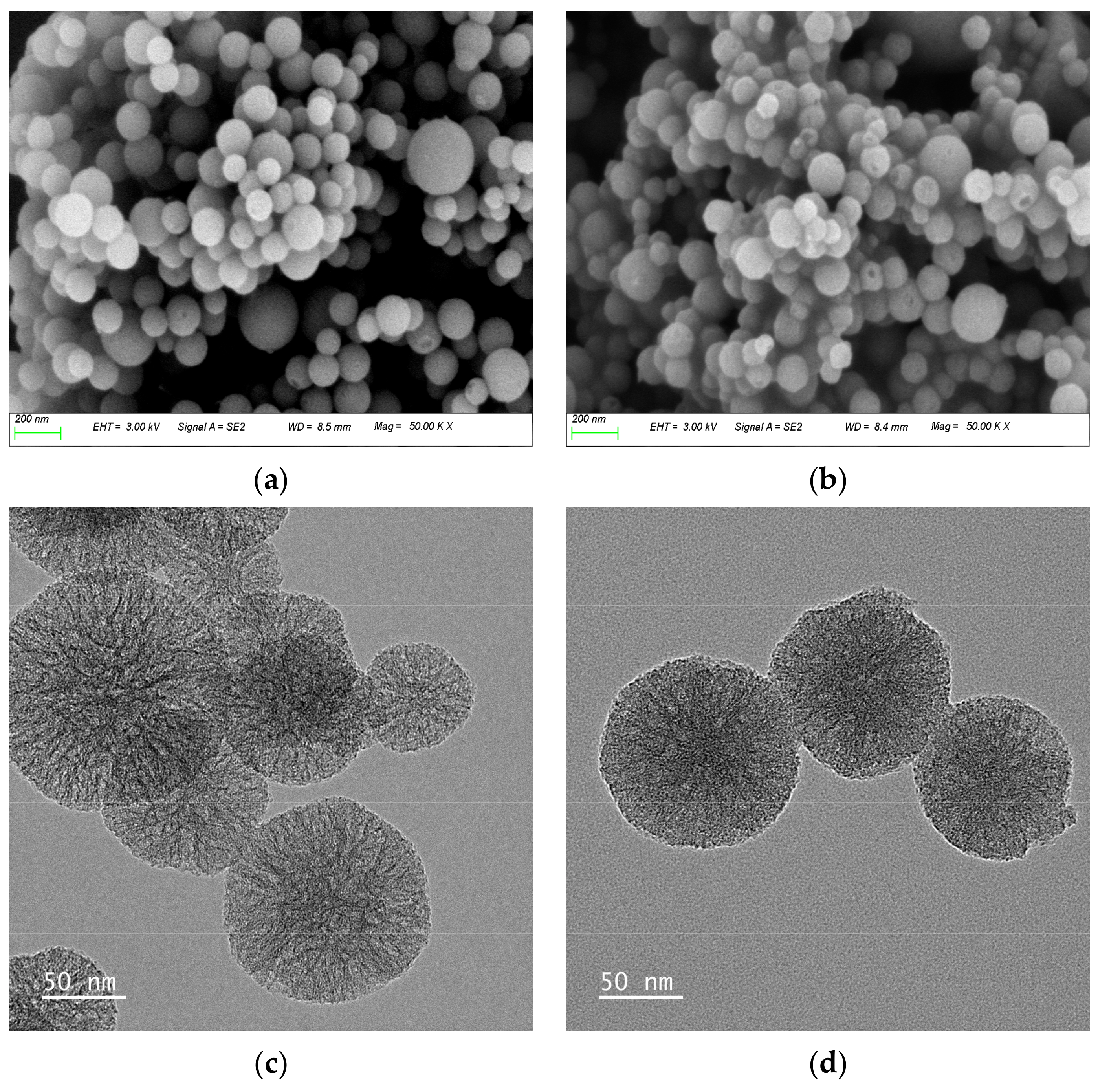 Nanomaterials 14 00250 g002
