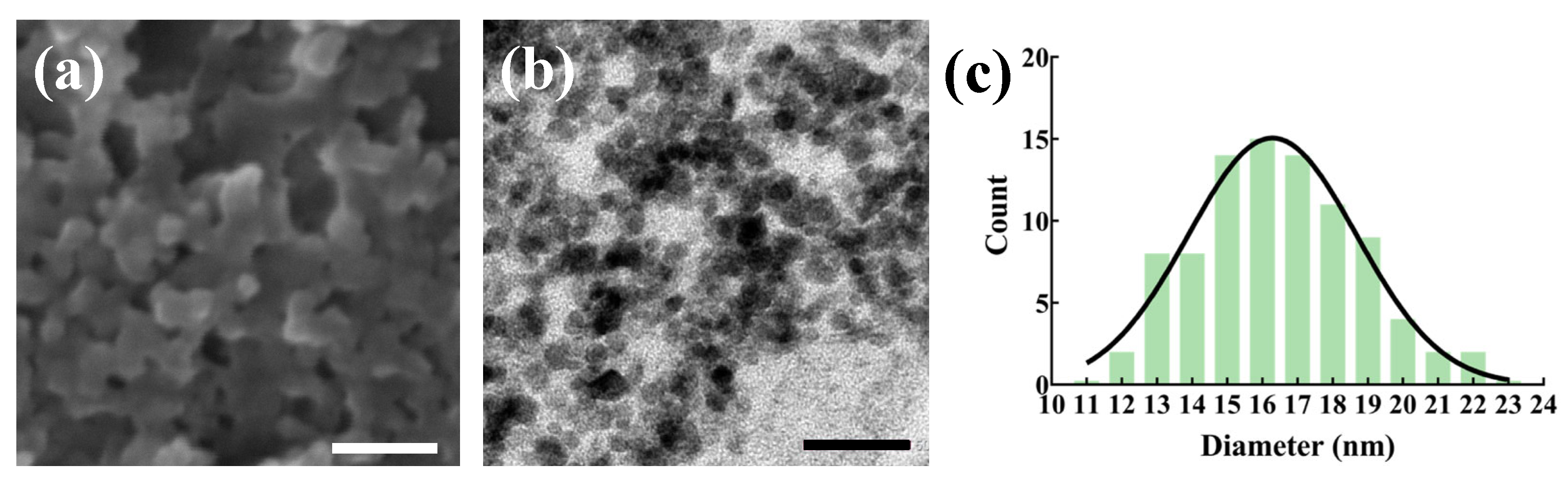 Nanomaterials 14 00251 g001