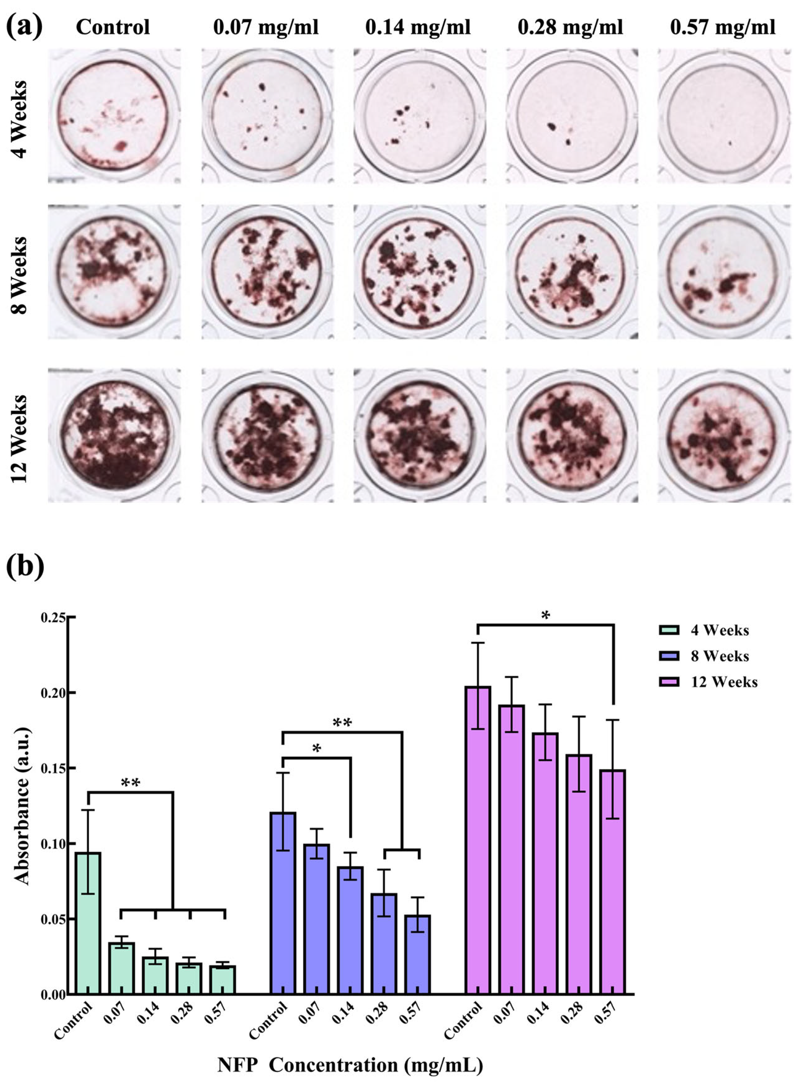 Nanomaterials 14 00251 g005