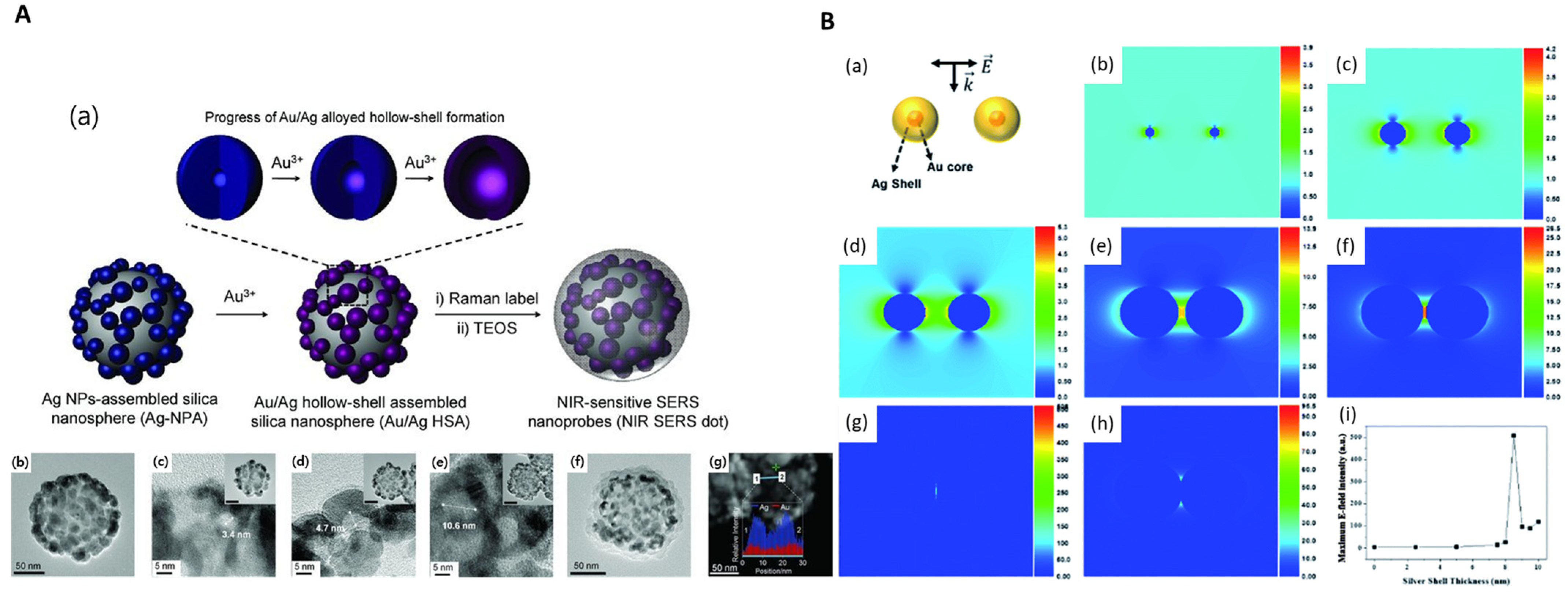 Nanomaterials 14 00268 g003