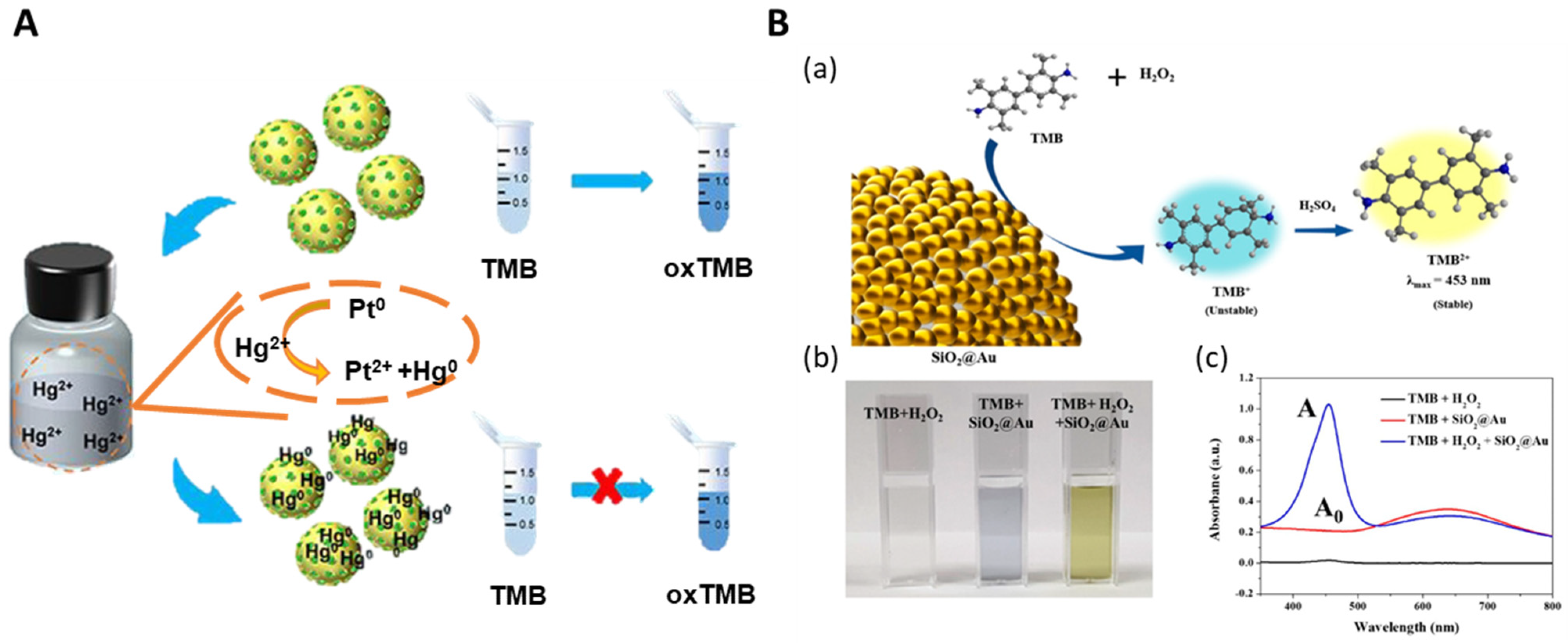 Recent Studies On Metal-Embedded Silica Nanoparticles For Biological ...