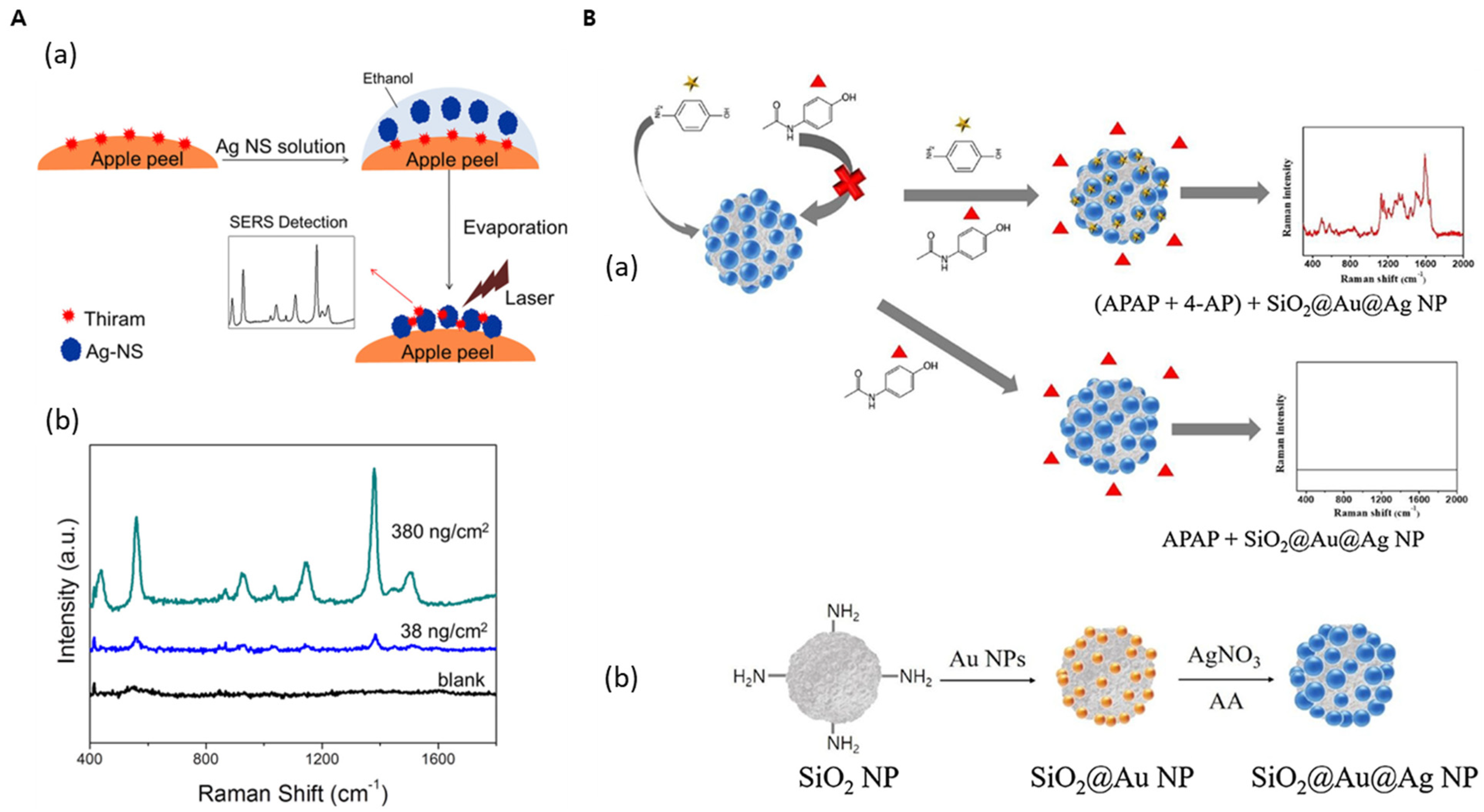 Nanomaterials 14 00268 g005