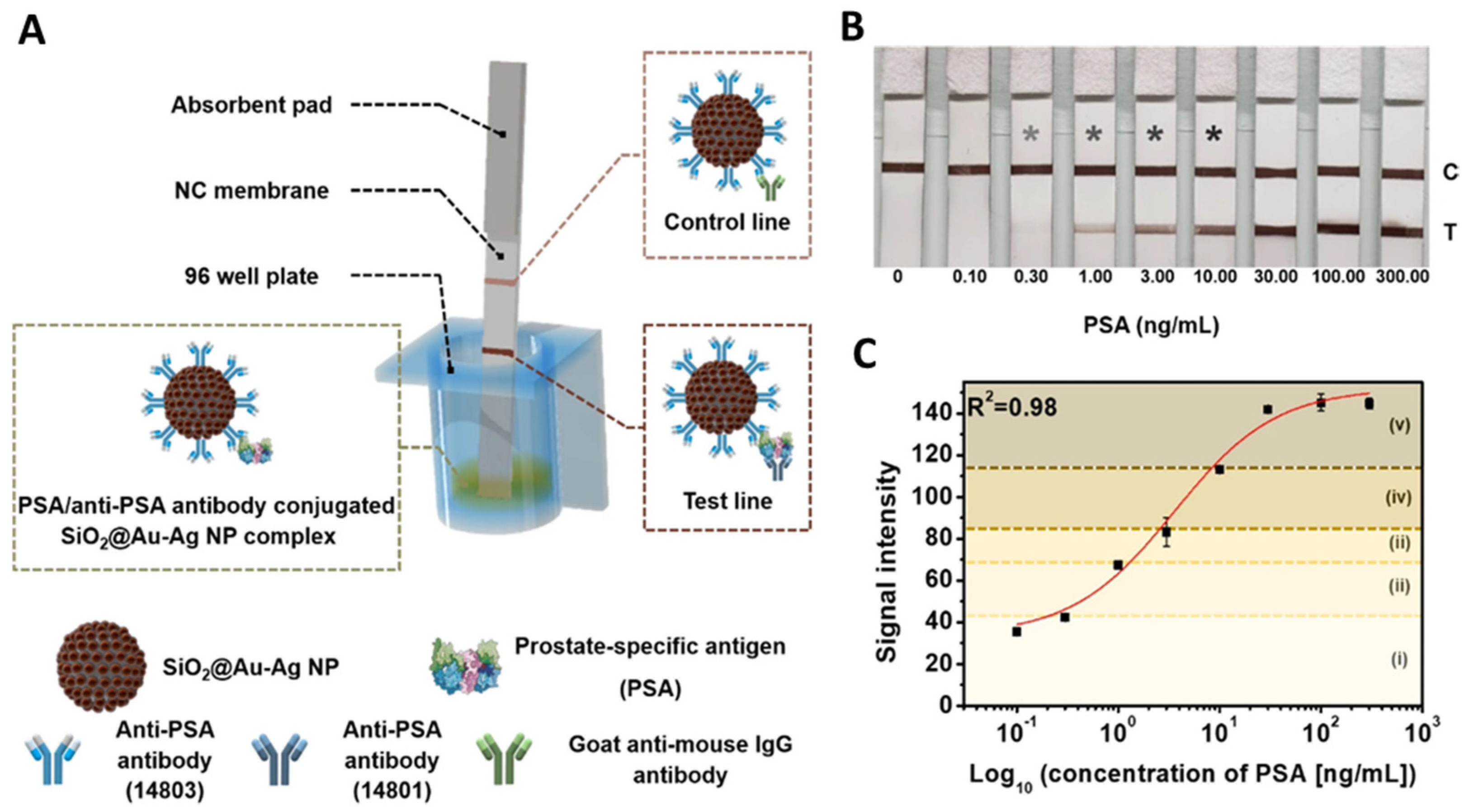 Nanomaterials 14 00268 g007