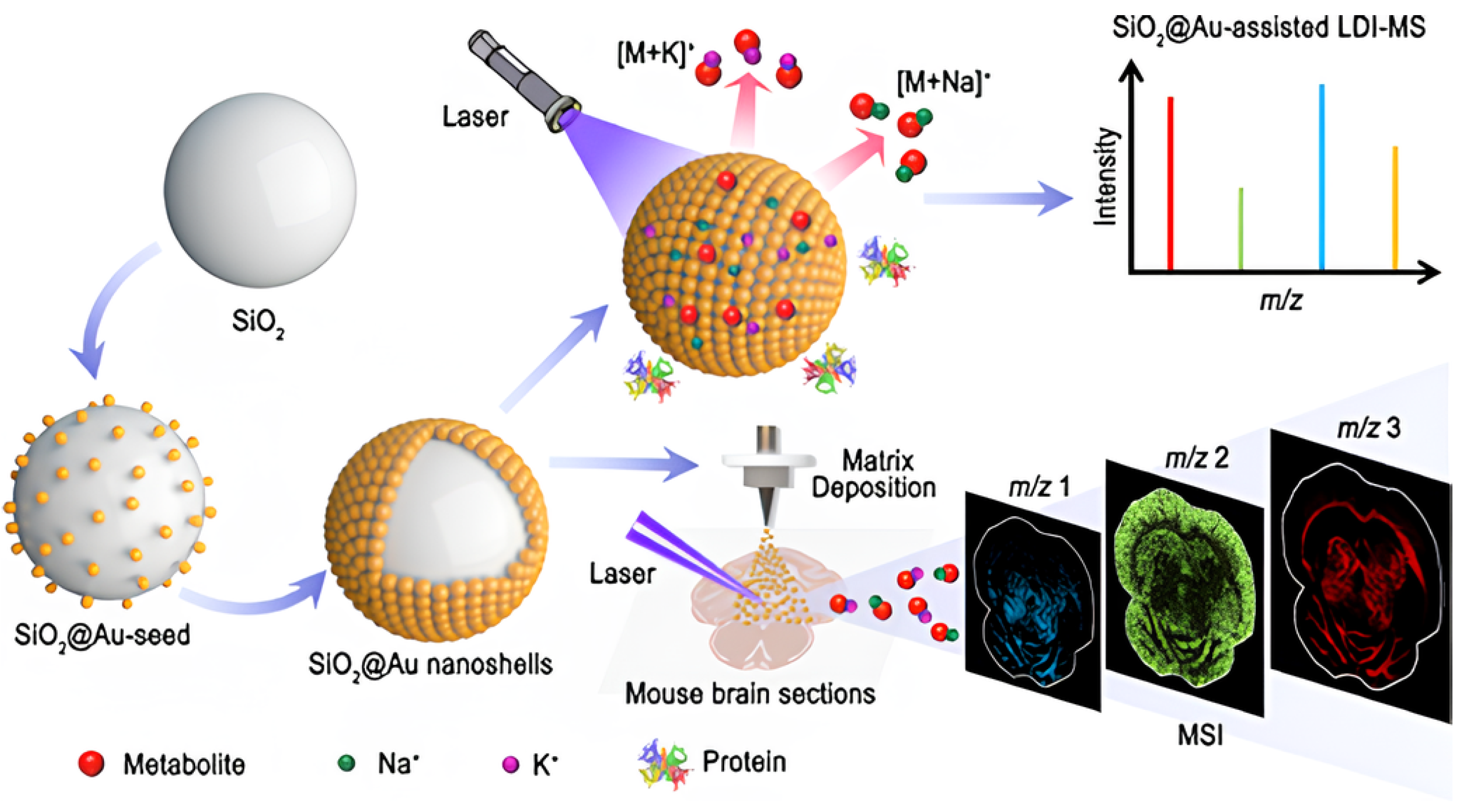 Nanomaterials 14 00268 g009