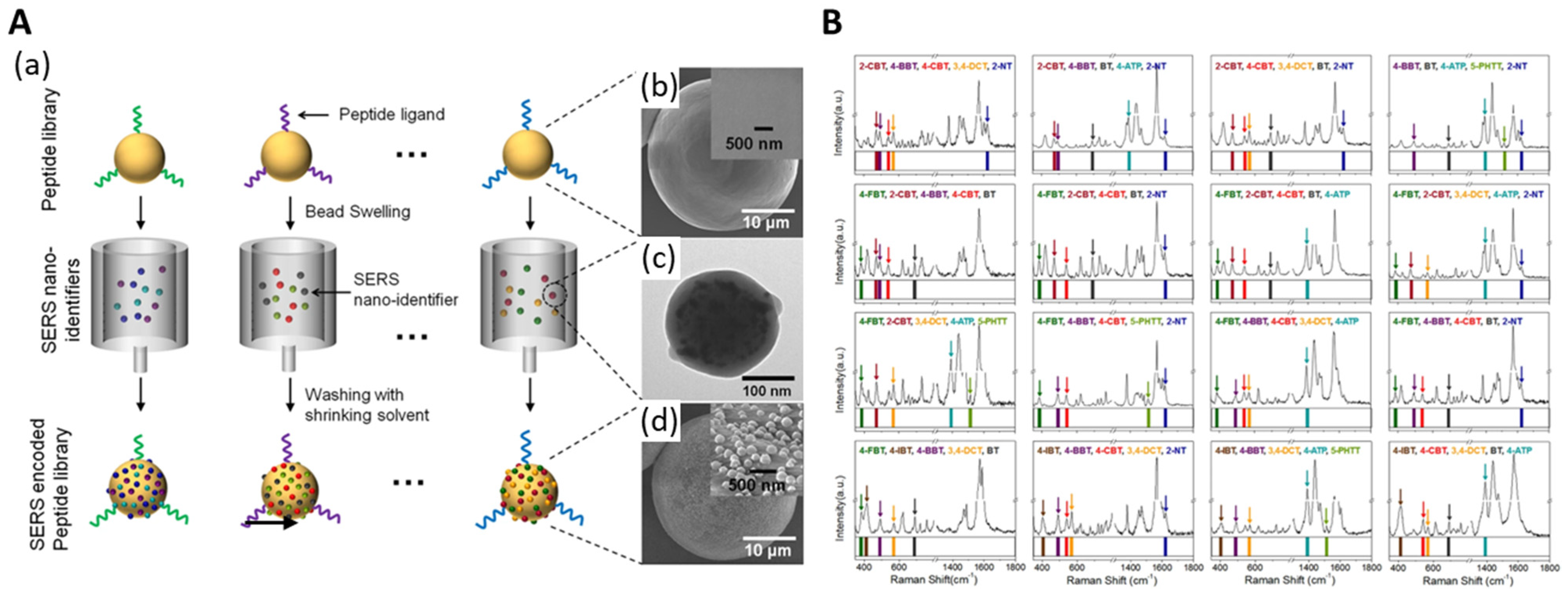 Nanomaterials 14 00268 g011