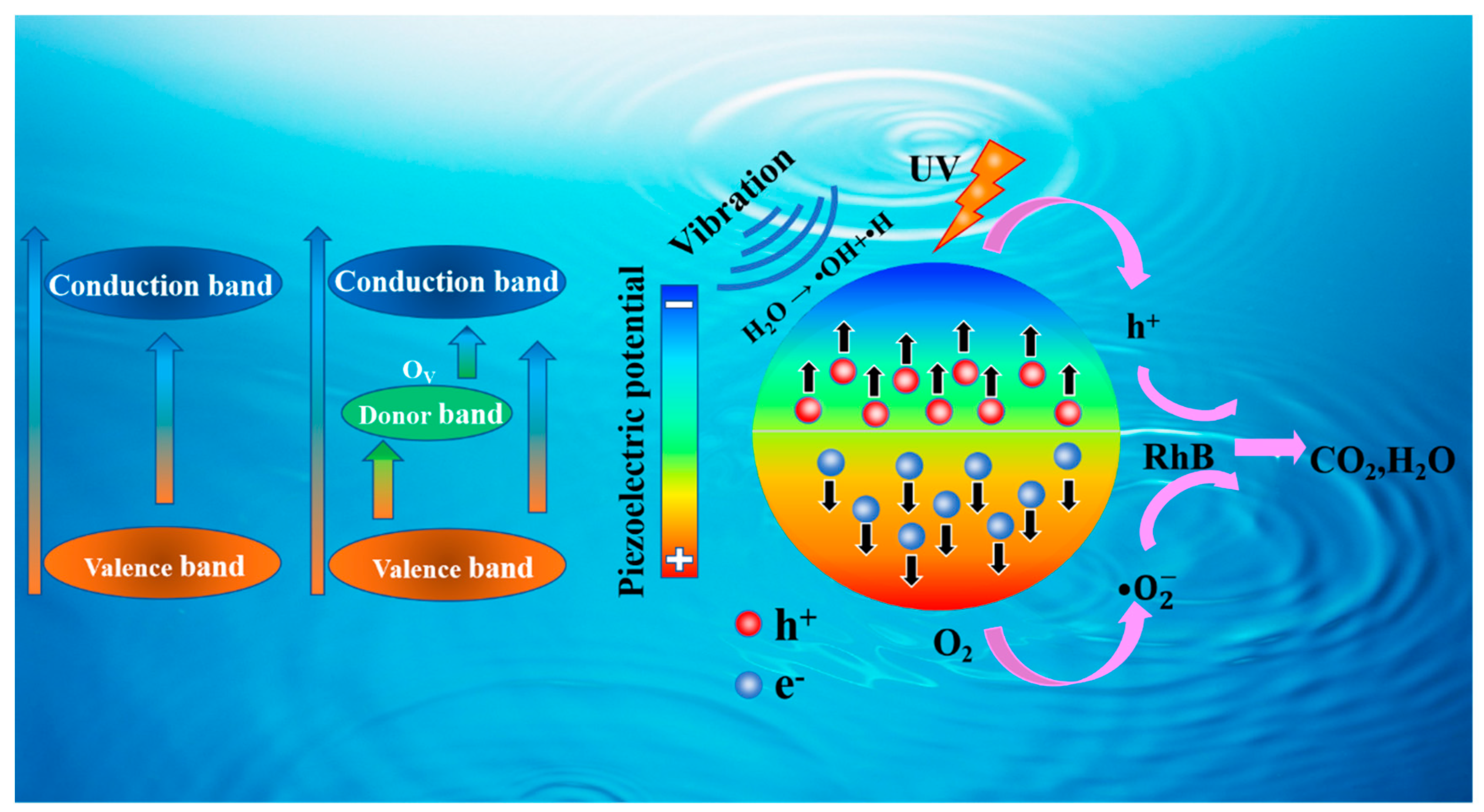Nanomaterials 14 00276 g008