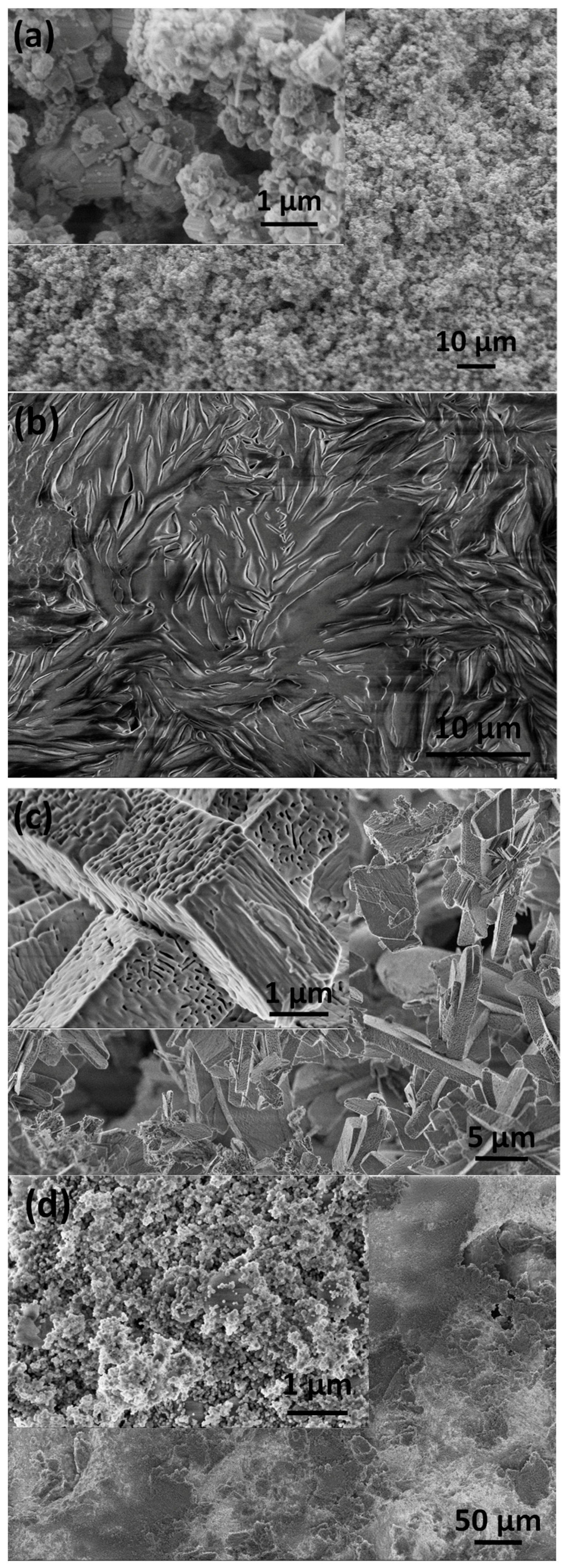 Nanomaterials 14 00279 g001 Nanomaterials 14 00279 g001