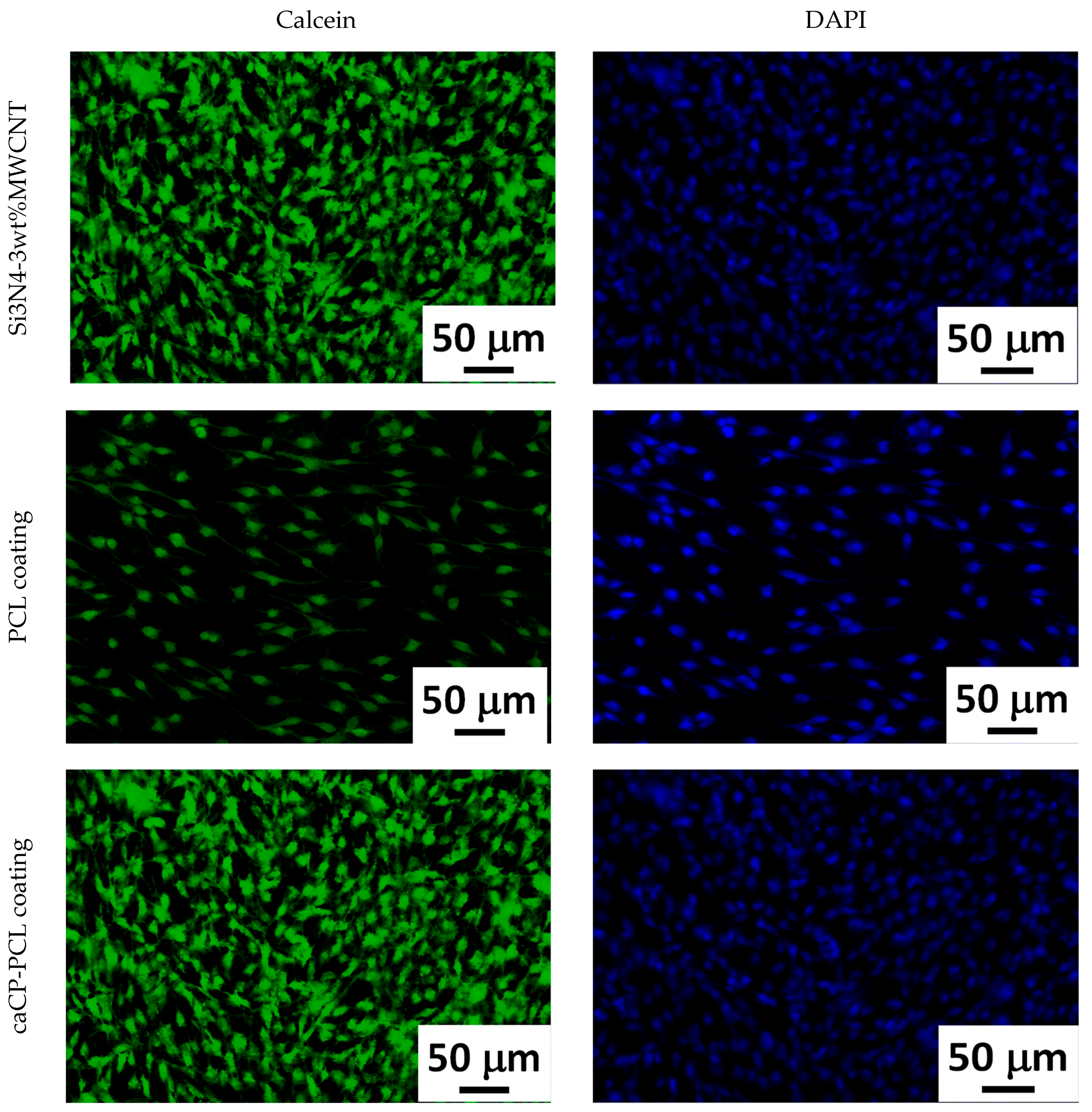 Nanomaterials 14 00279 g006 Nanomaterials 14 00279 g006